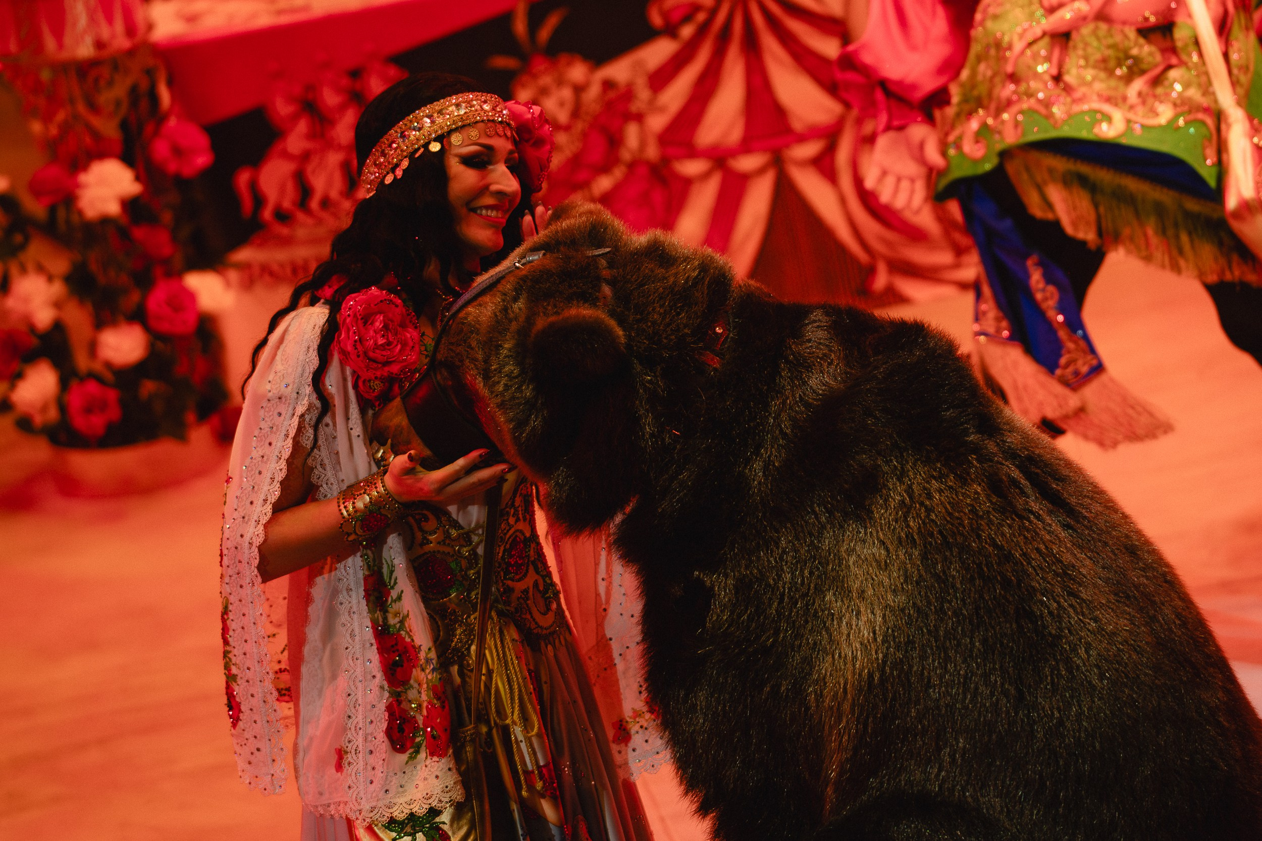 5 Континентов — Пресс-показ в Новосибирском Цирке. Воробьева Ксения — Спортивный и танцевальный фотограф Новосибирск