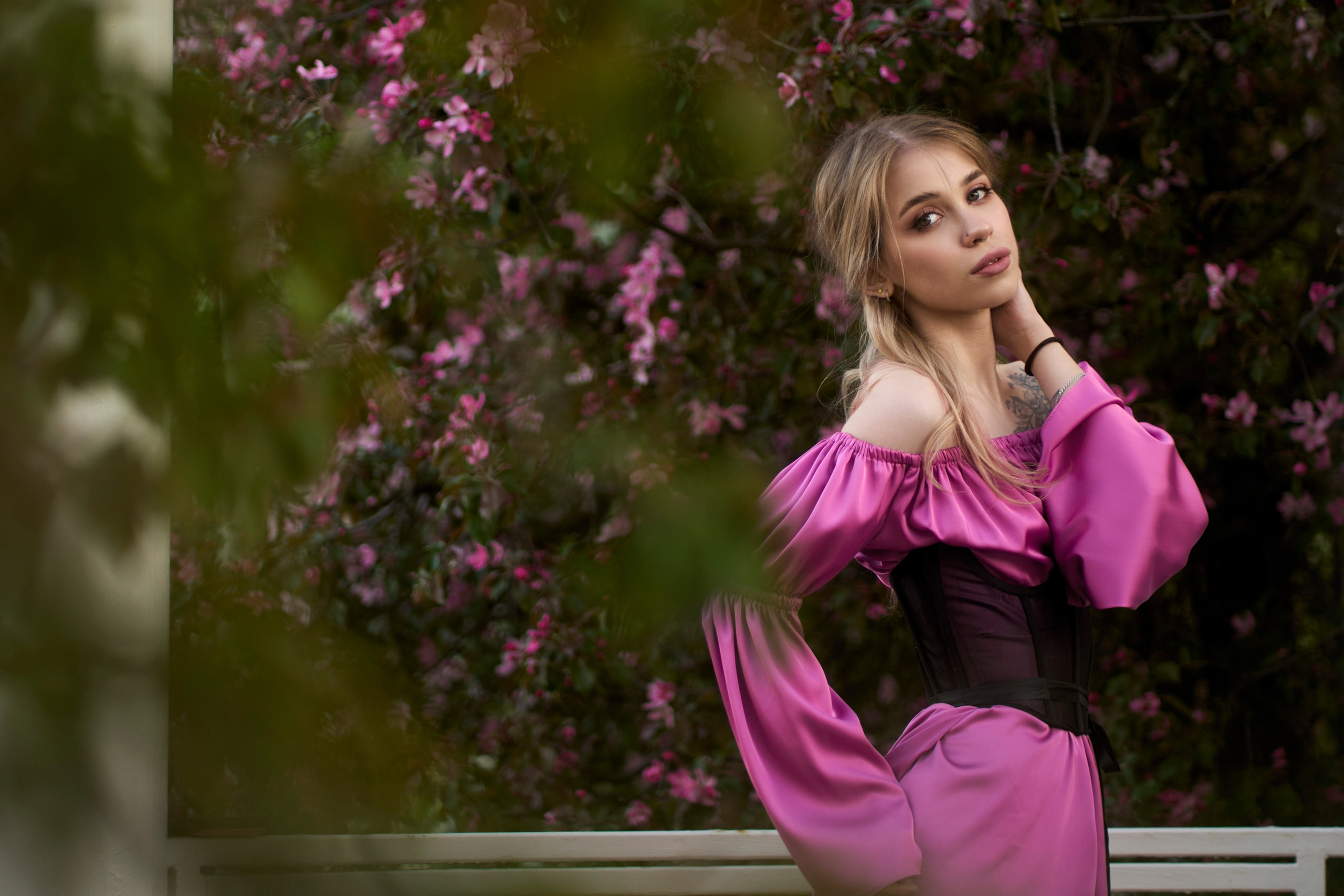 Влад Дорчинец — фотограф