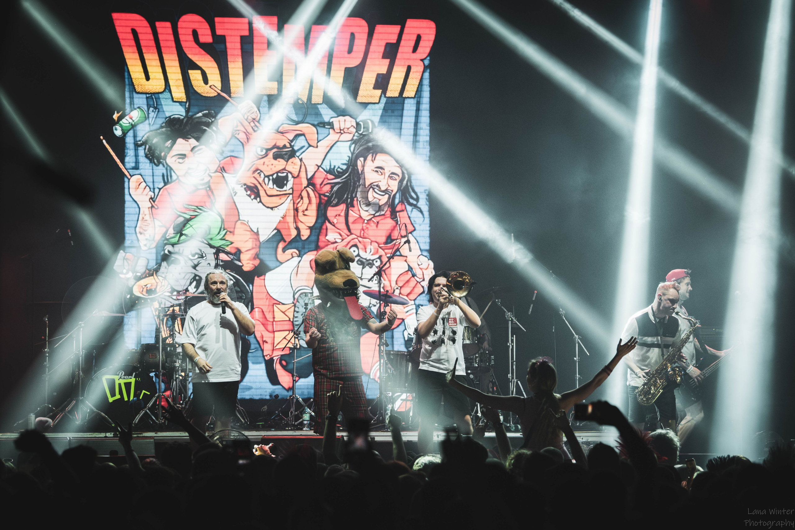 Distemper (4 января 2026 года, Москва, клуб Base). Фотограф Светлана Блинова, Москва и Московская область