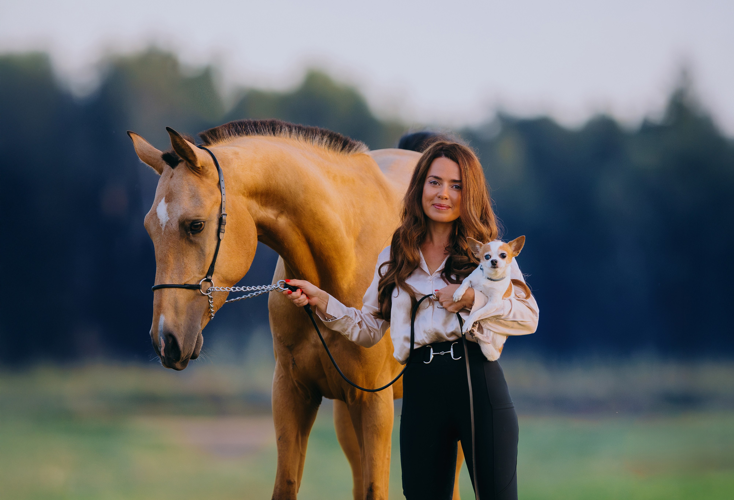 Лена и Персей. Фотограф-анималист Ксендзова Кристина