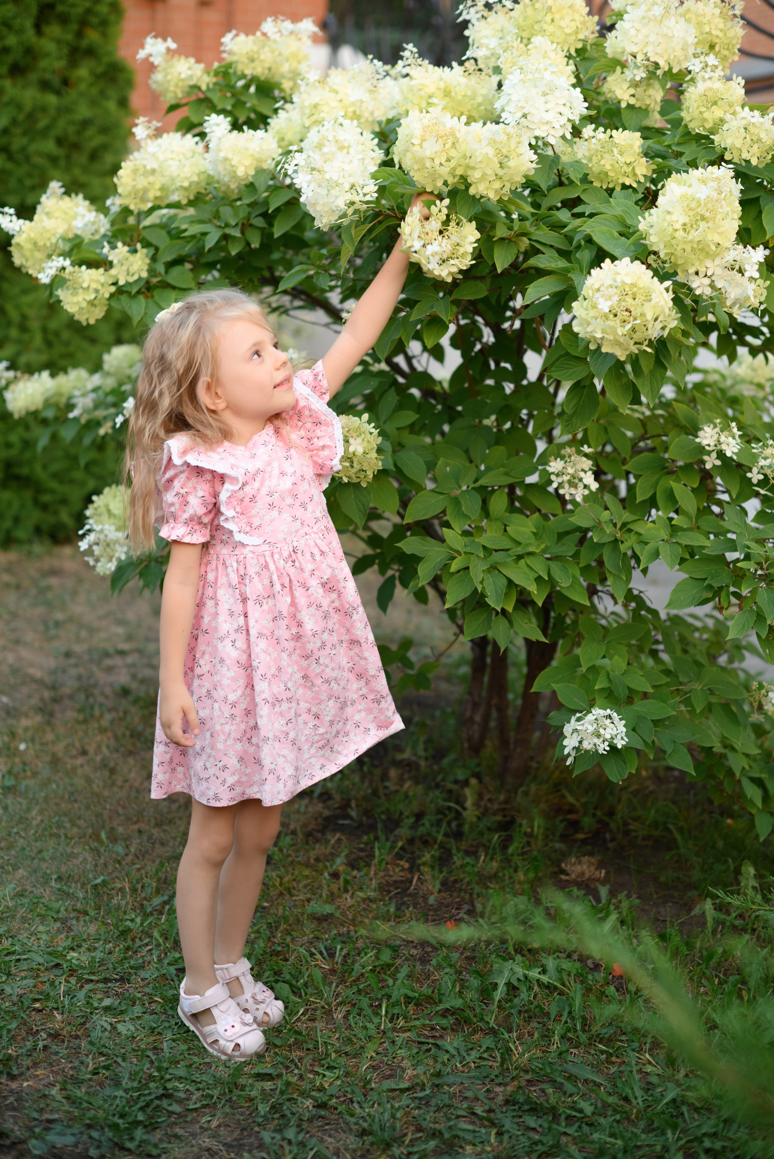 СЕМЕЙНЫЕ. Главная