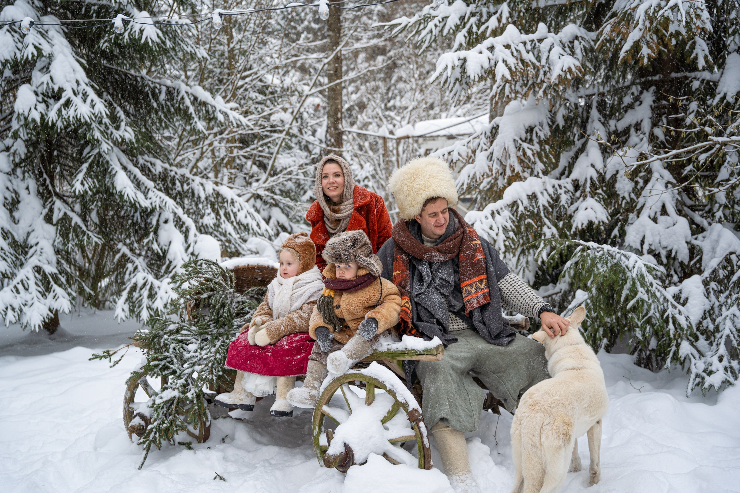 Лесное. Главная