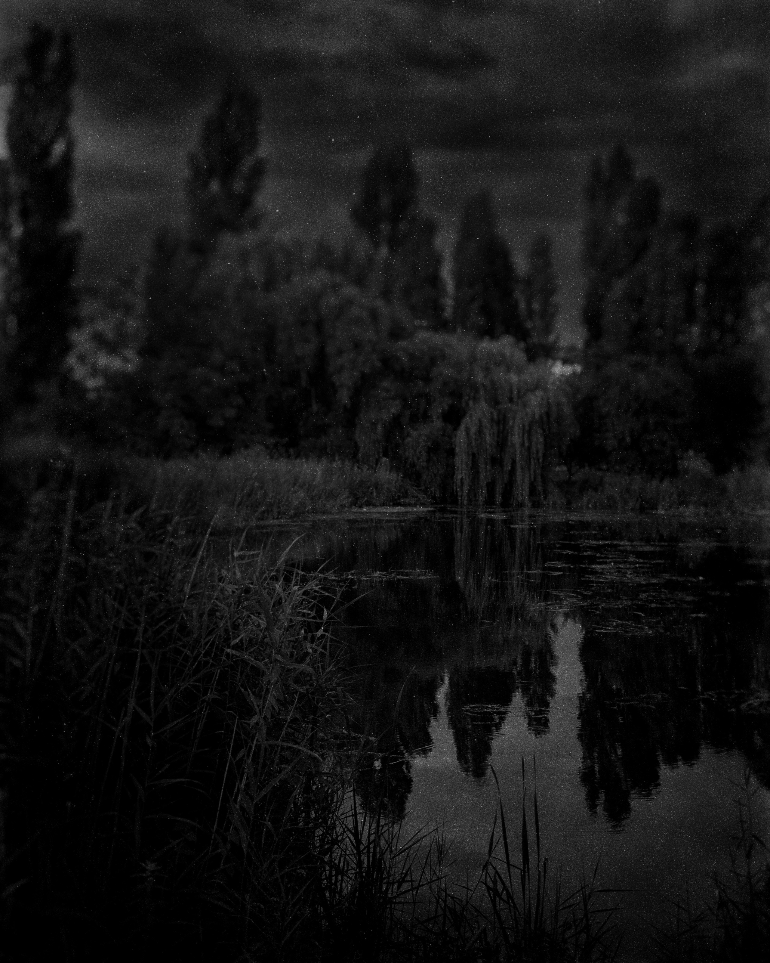 Homeland Adygea. Visual artist