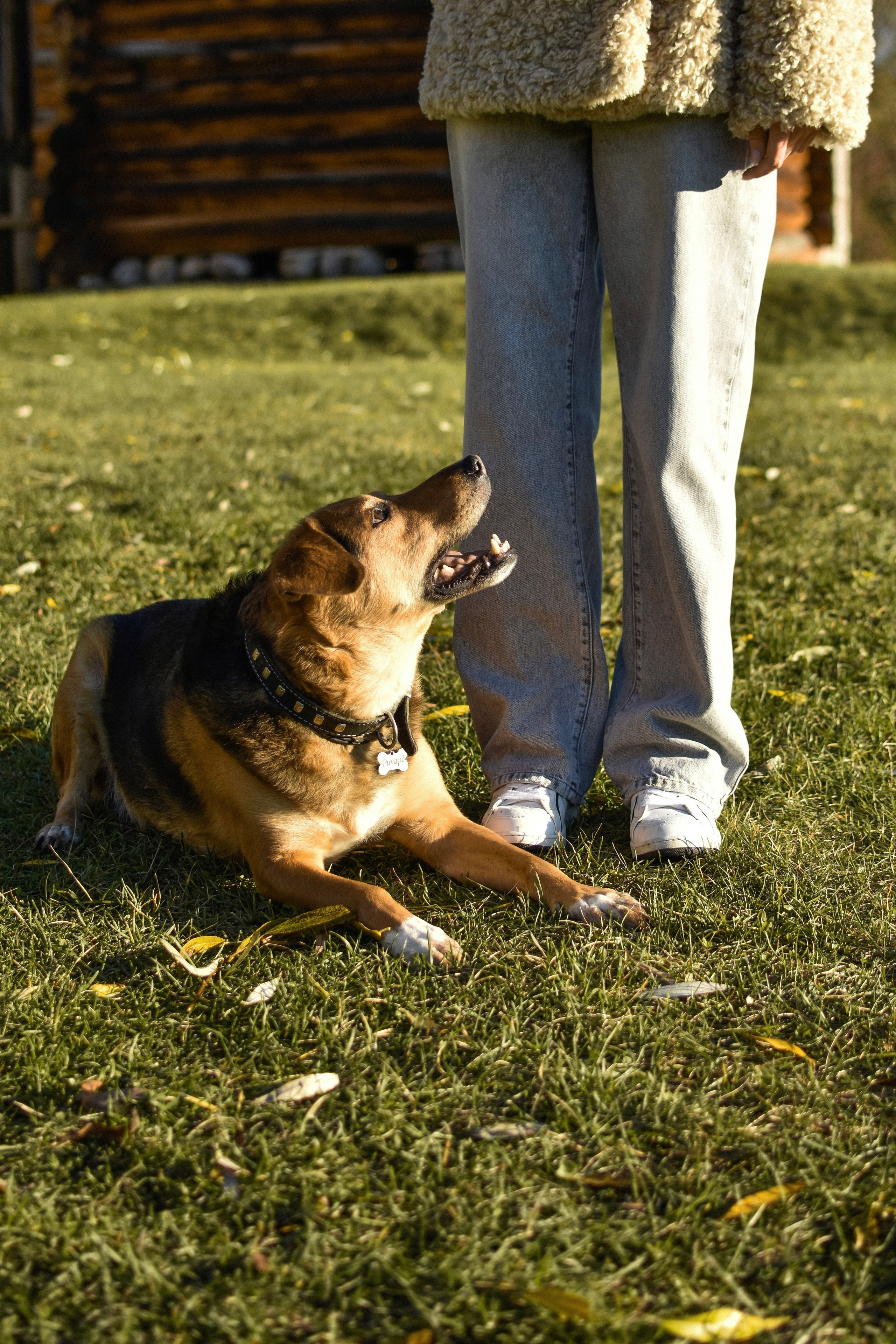 Ричард и Алёна. Фотограф-анималист Ксения Шевцова|Москва