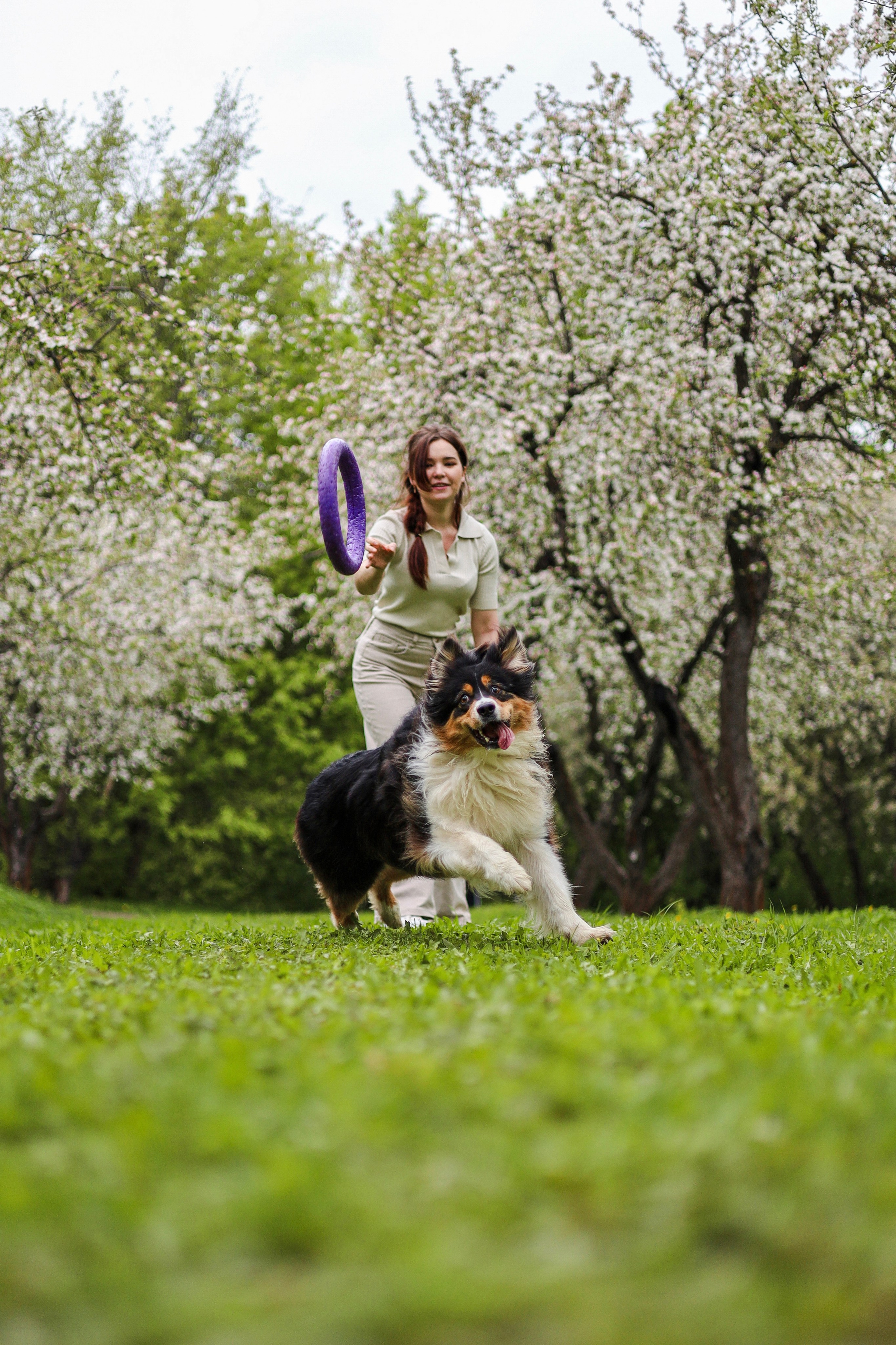 Келли и Света. Фотограф-анималист Ксения Шевцова|Москва