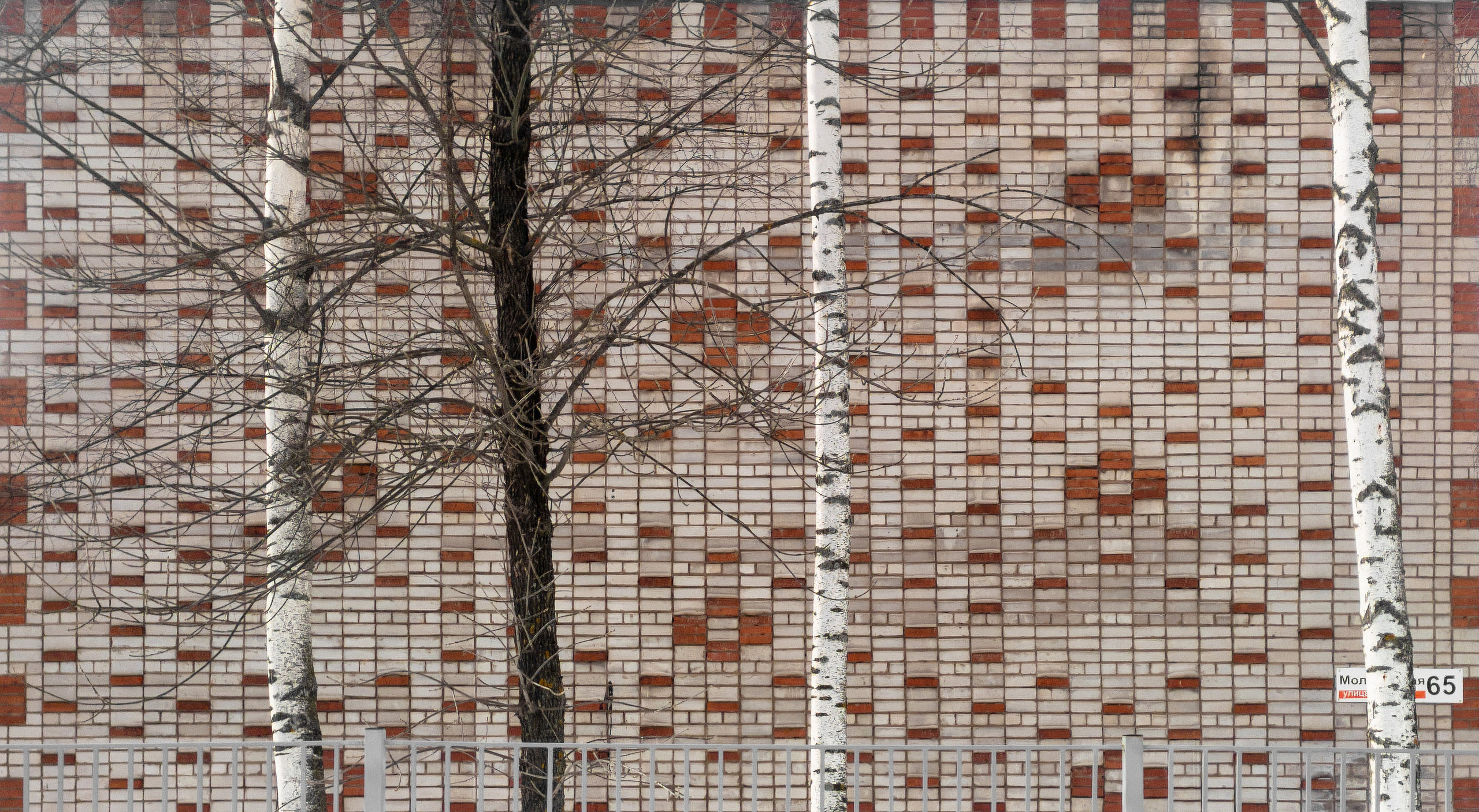 Родные узоры. Россия. Олег Романов. Мастер фото по спорту