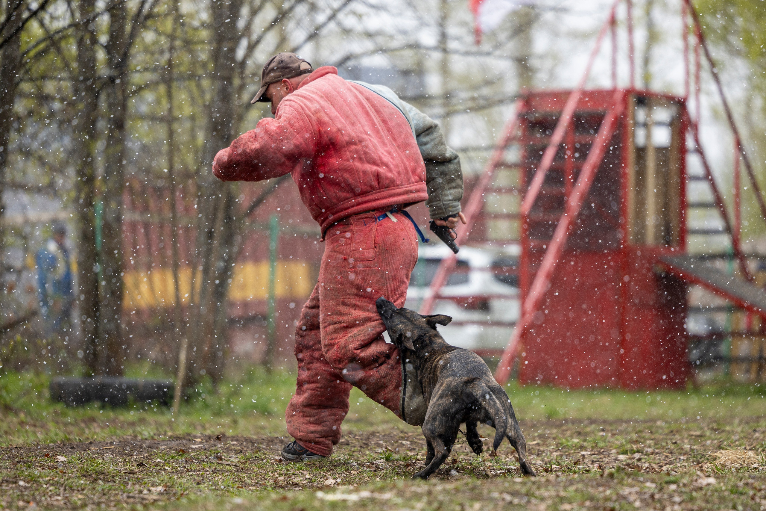 Квалификационные состязания по мондьорингу г. Вологда 11.05.24. Фотограф-анималист Анна Маринич