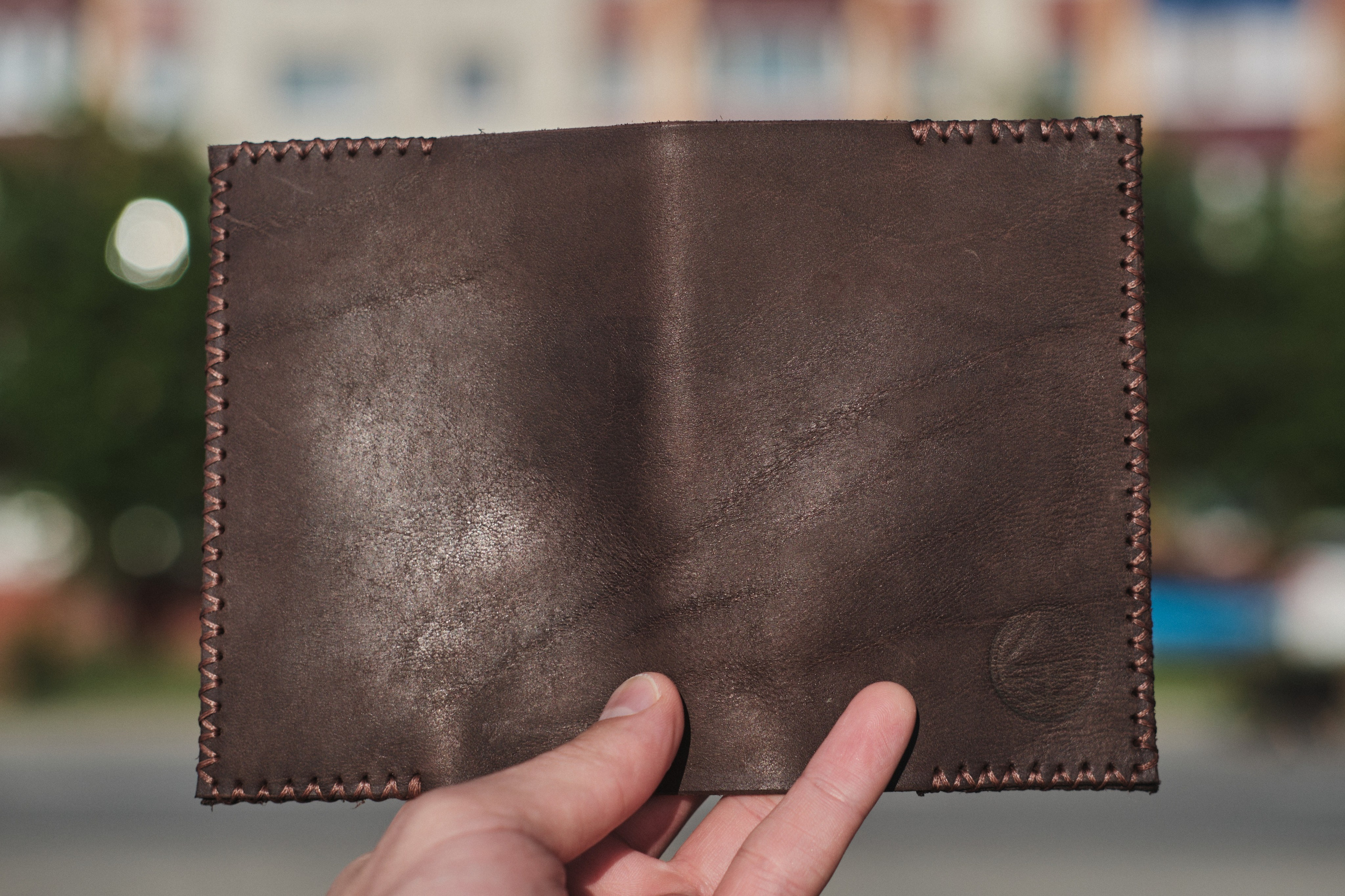 Обложка для паспорта. KIMESTHETICA