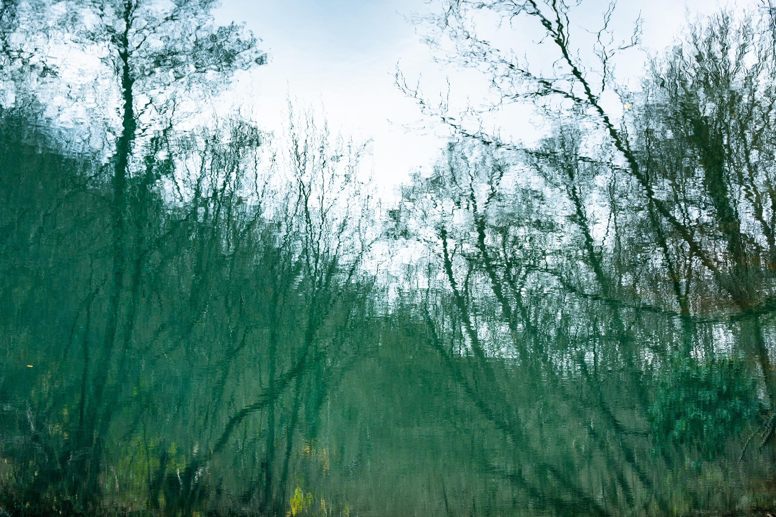 Пейзаж от Ольги Пановой. Интерьерный и архитектурный фотограф в Москве Панова Ольга