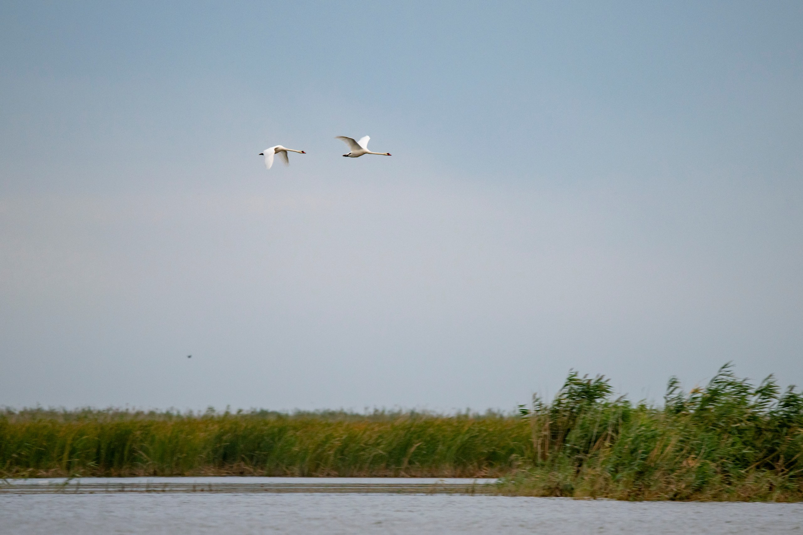 Природа Дагестана, сентябрь 2024. Foto-Zuev фотография как искусство