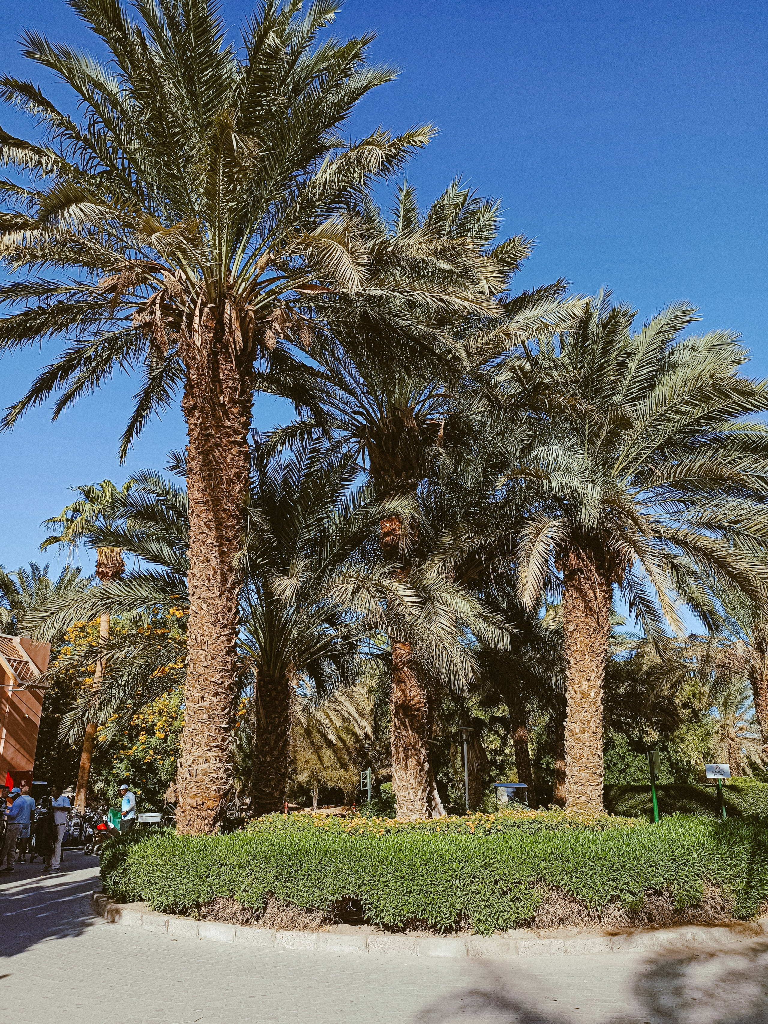 Мобильная. Jorgis — фотограф в Хургаде / обучение фотографии