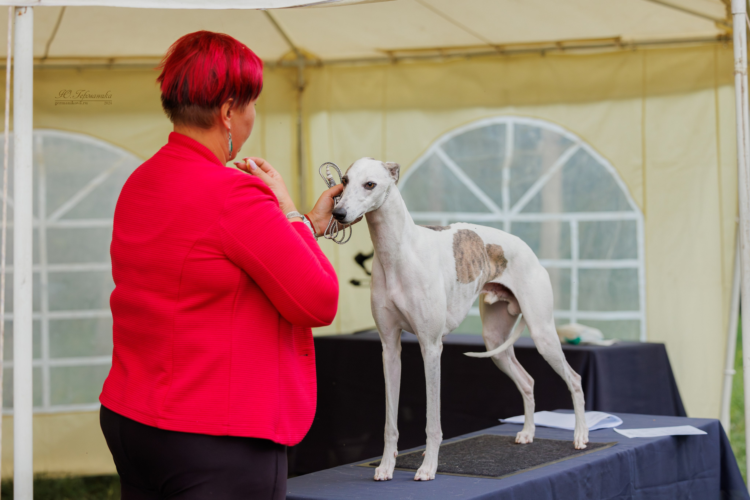 Астана 2хCACIB 17-18.08.2024. Фотограф-анималист Юлия Германика