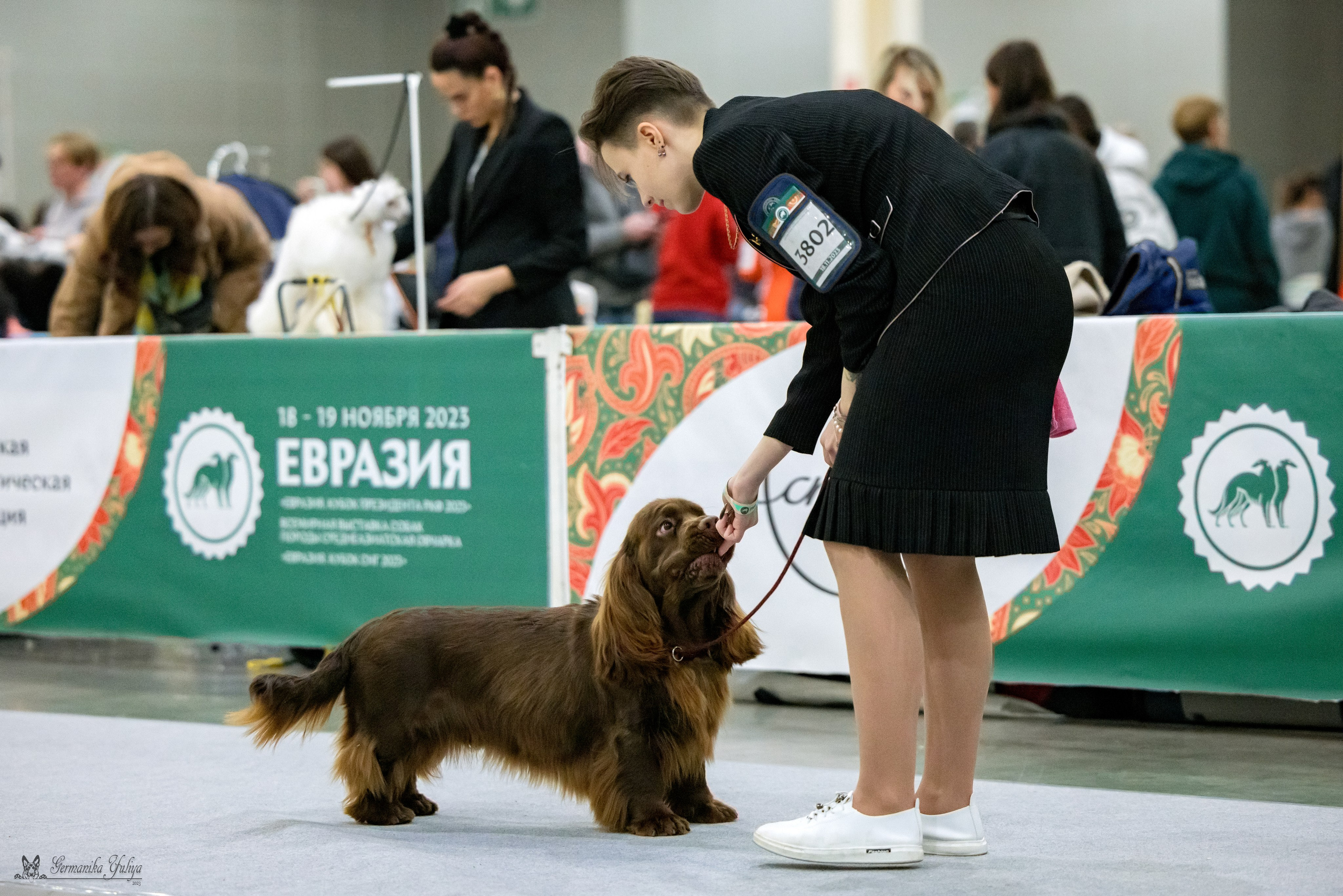 ЕВРАЗИЯ 18-19.11.2023. Фотограф-анималист Юлия Германика