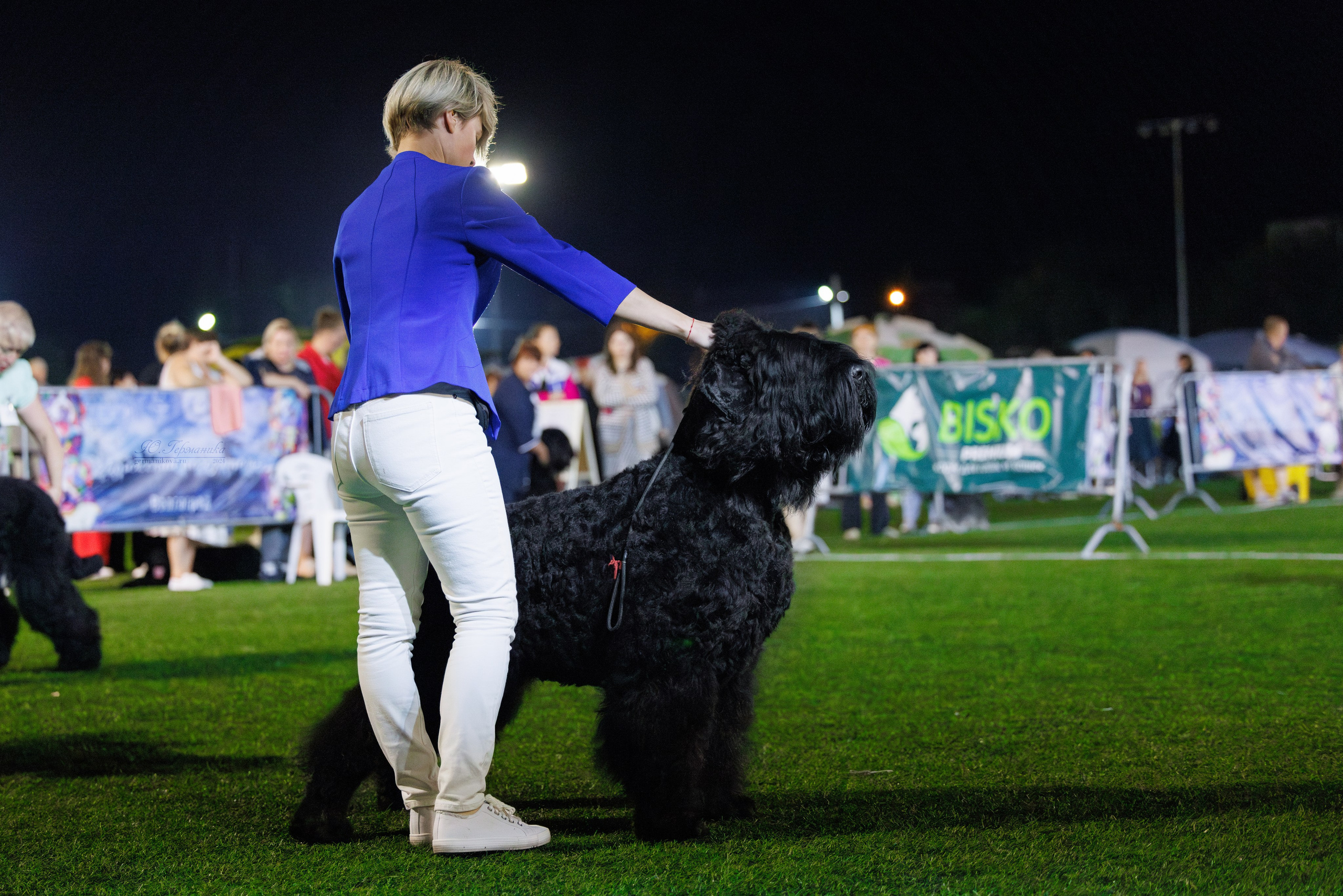 Волгоград 2-4.08.2024. Фотограф-анималист Юлия Германика