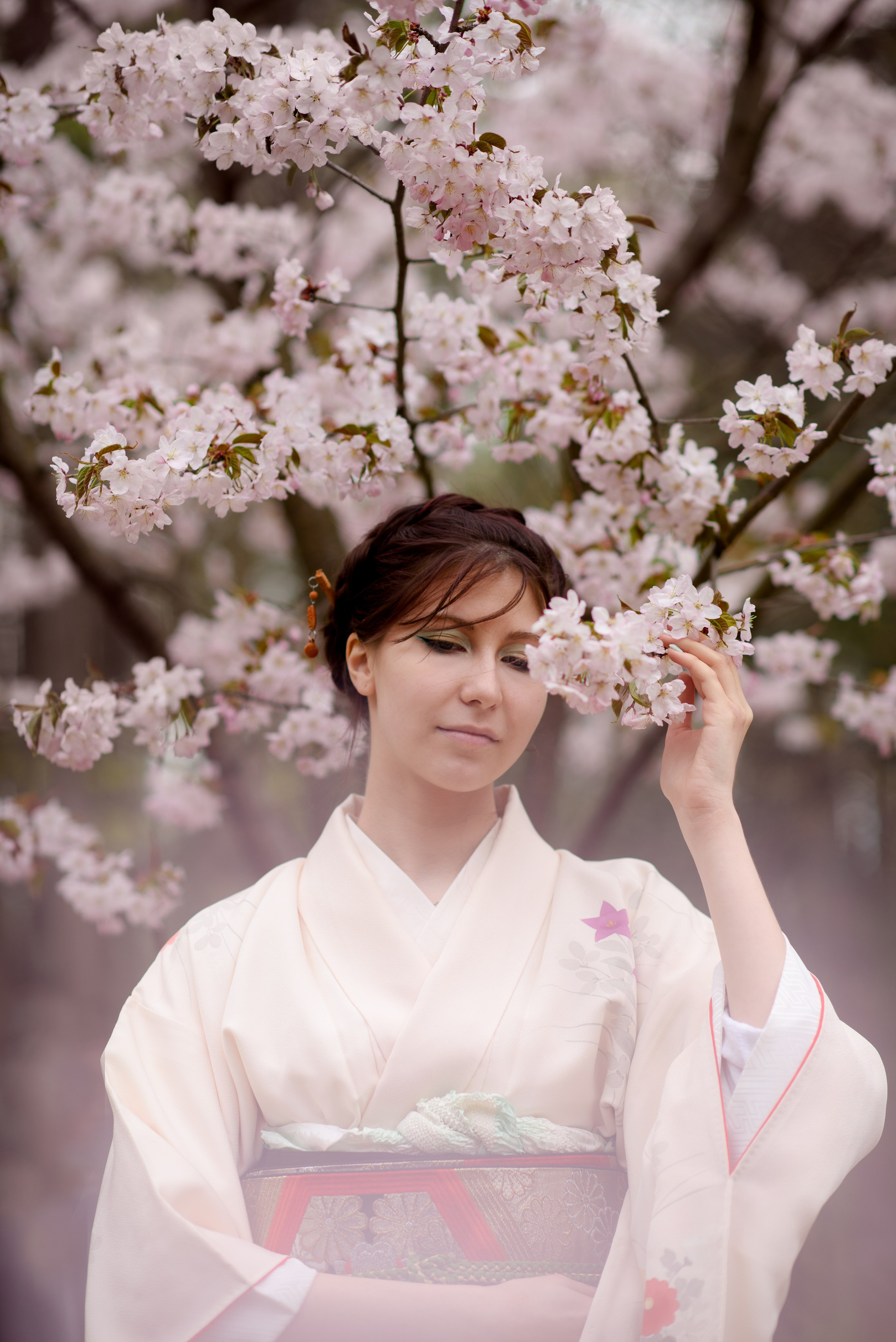 Любование сакурой в Бирюлевском дендропарке. Главная