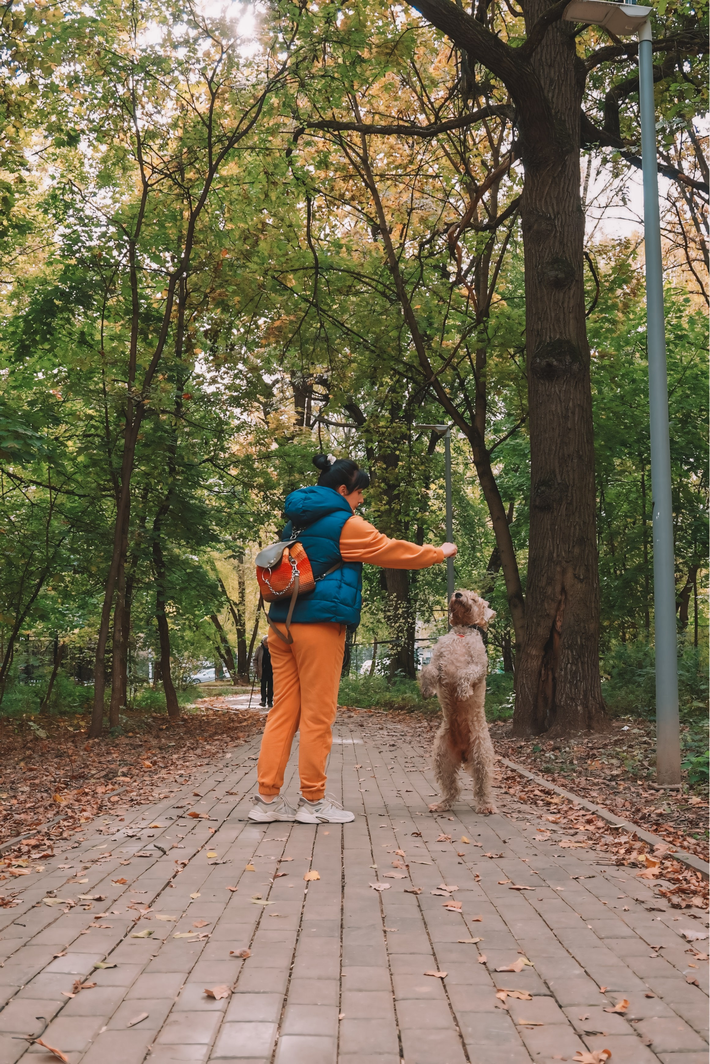 Четыре лапы и мокрый нос. Портретный и семейный фотограф в Москве Мария Иванова
