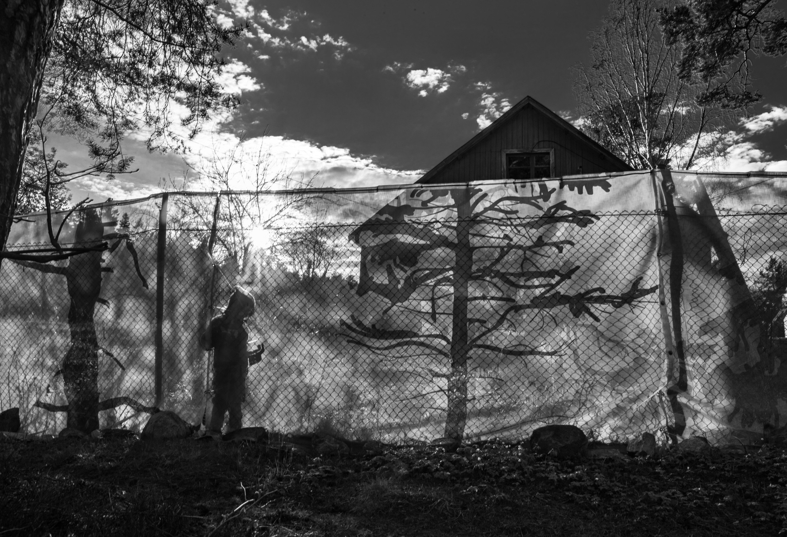 Март 2026. Автор месяца проекта ФЭТ: Фотография Эстетика Творчество