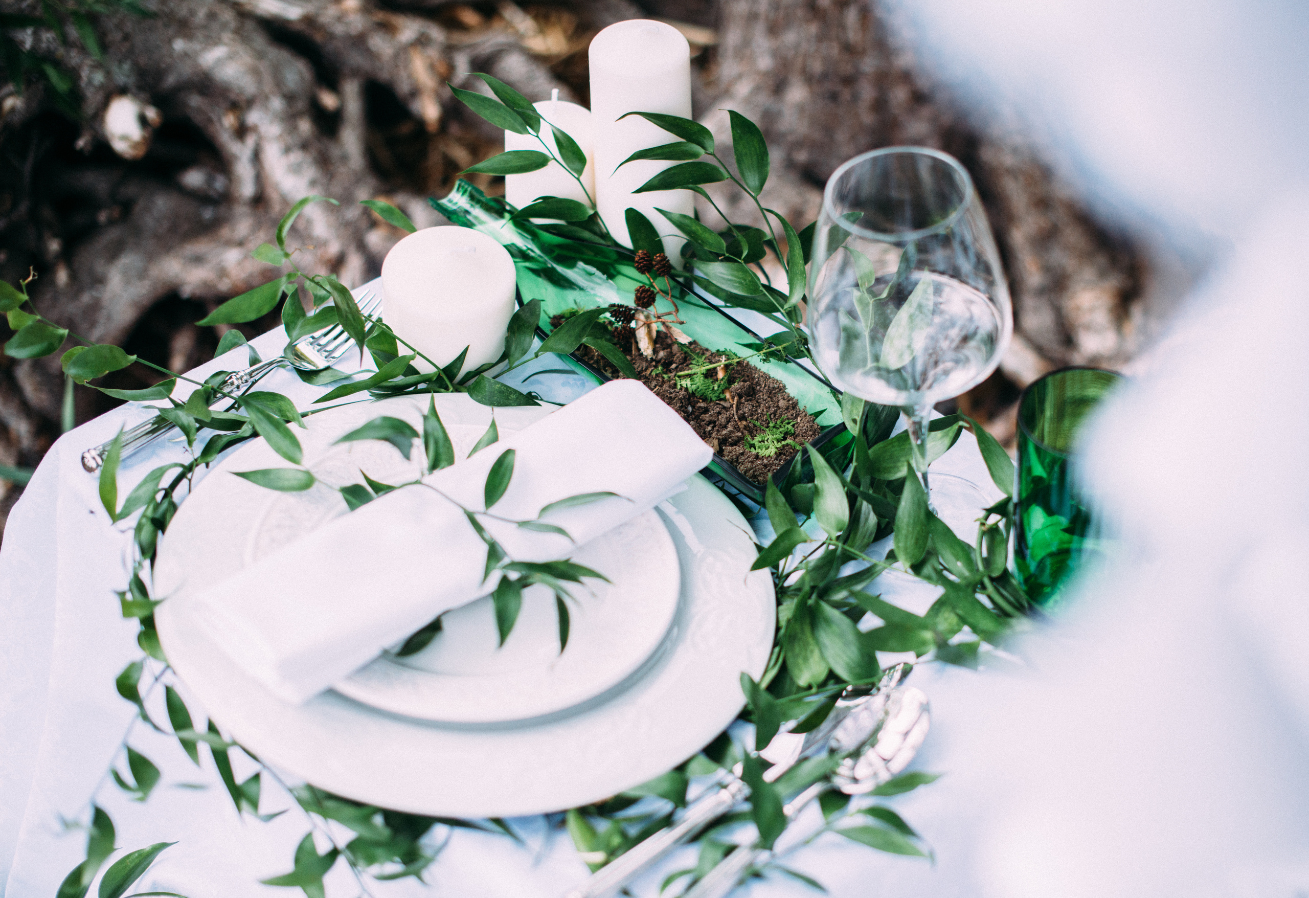 На Финском заливе