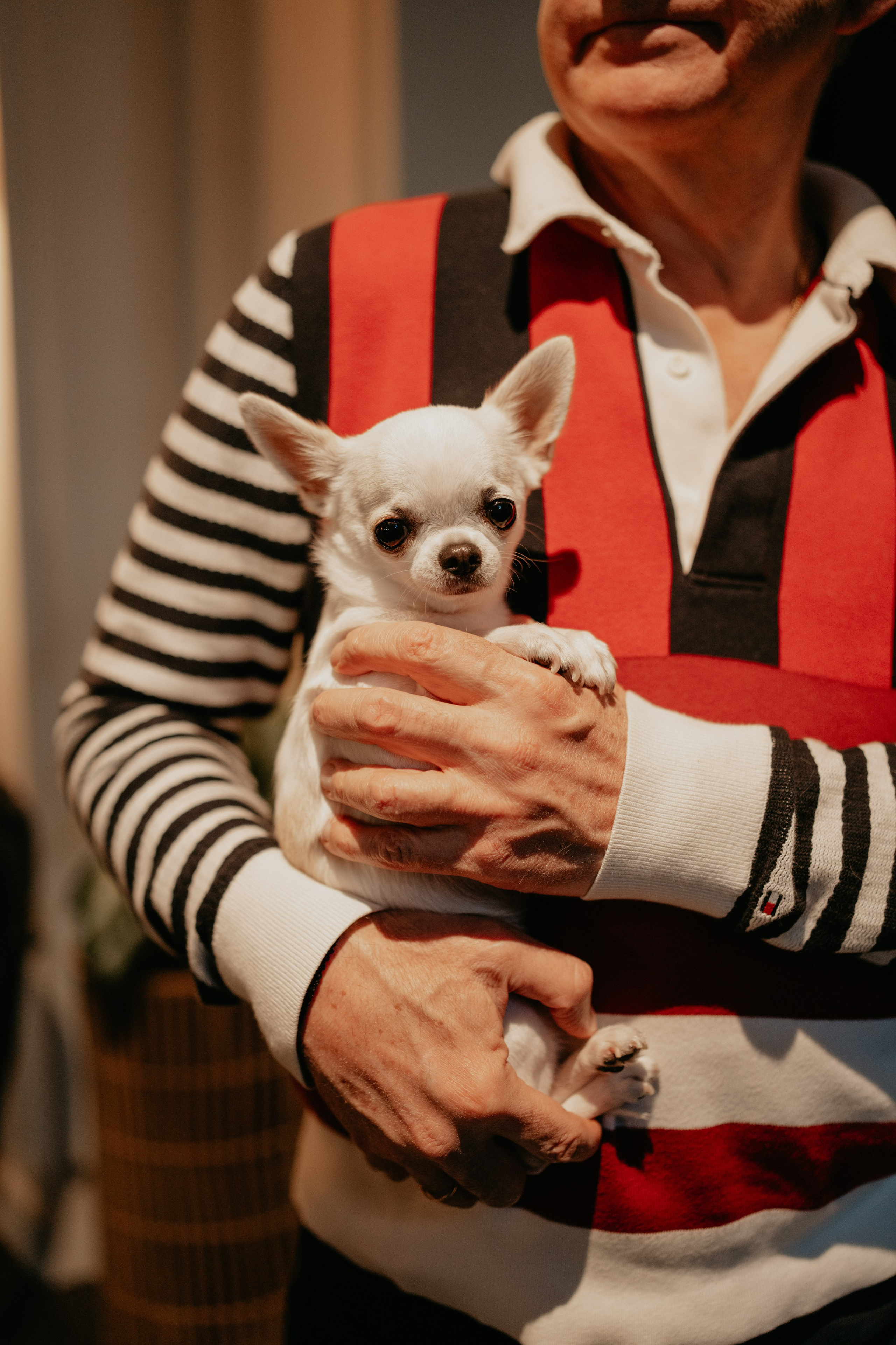 Ужин в Modus. Фотограф и Видеограф Севастополь Крым