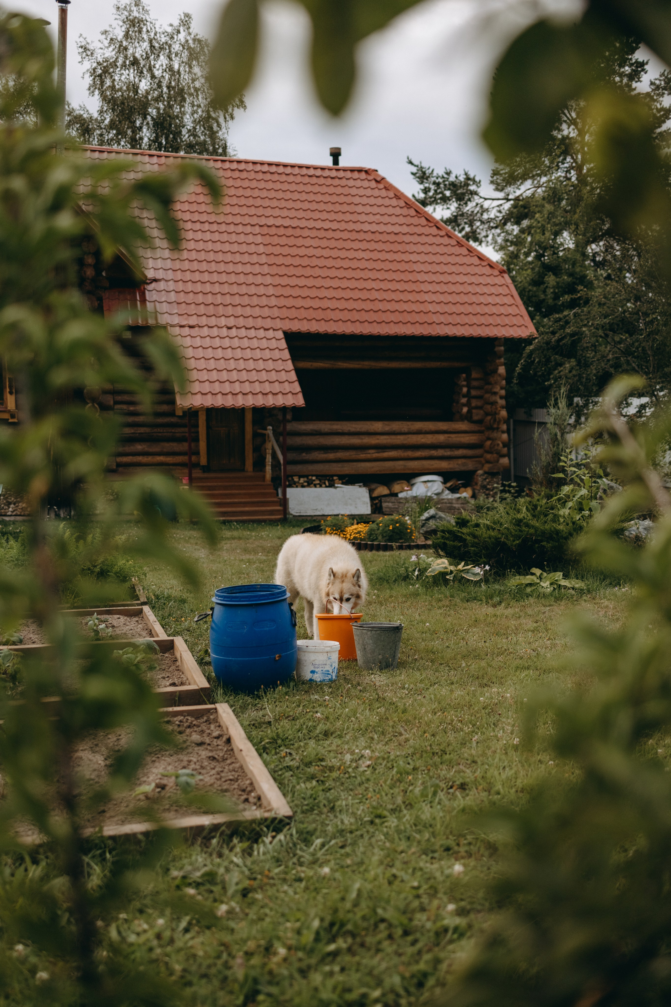 Дом у реки. Фотограф — Анималист | Санкт-Петербург