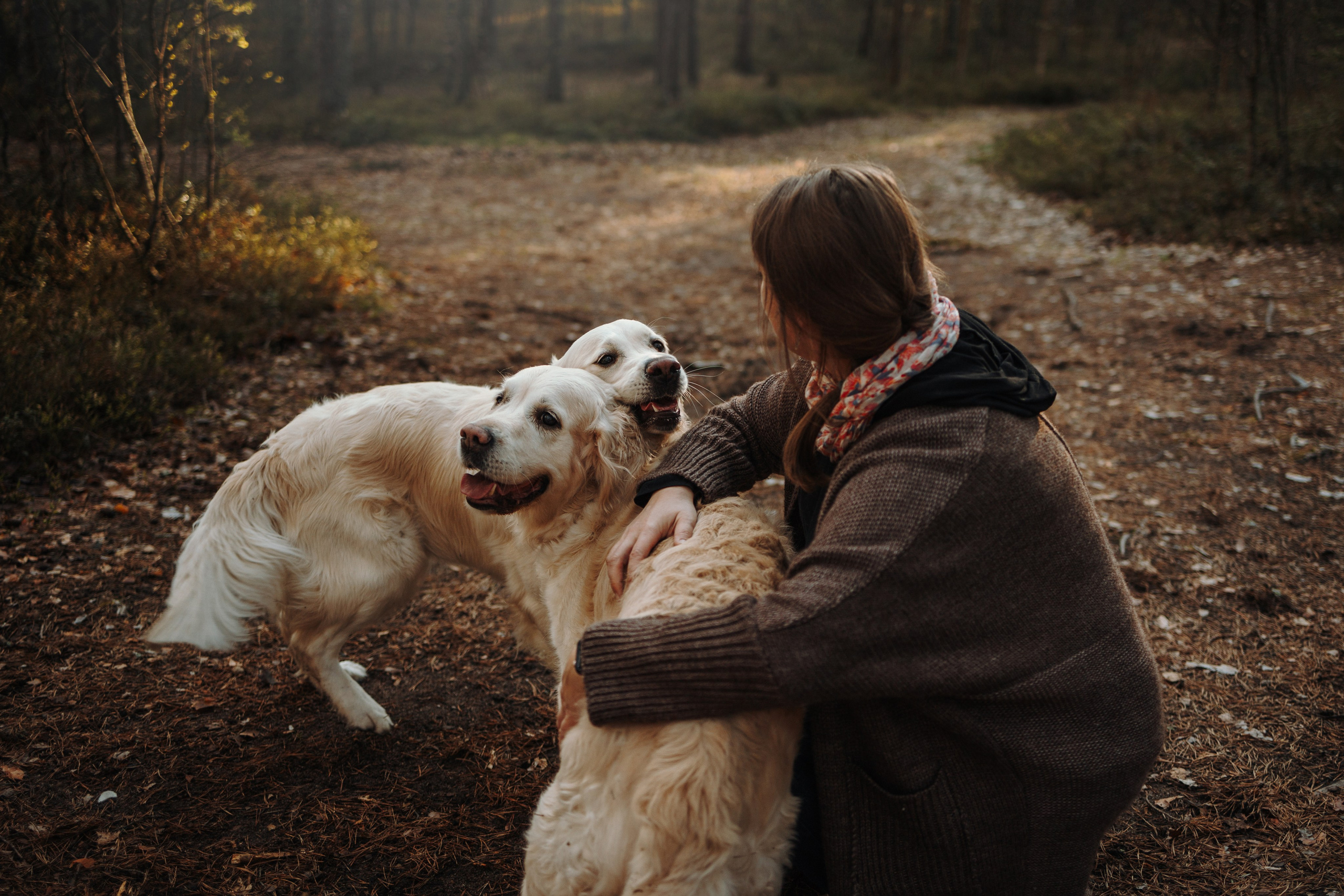 Катя и ее девочки. Фотограф — Анималист | Санкт-Петербург