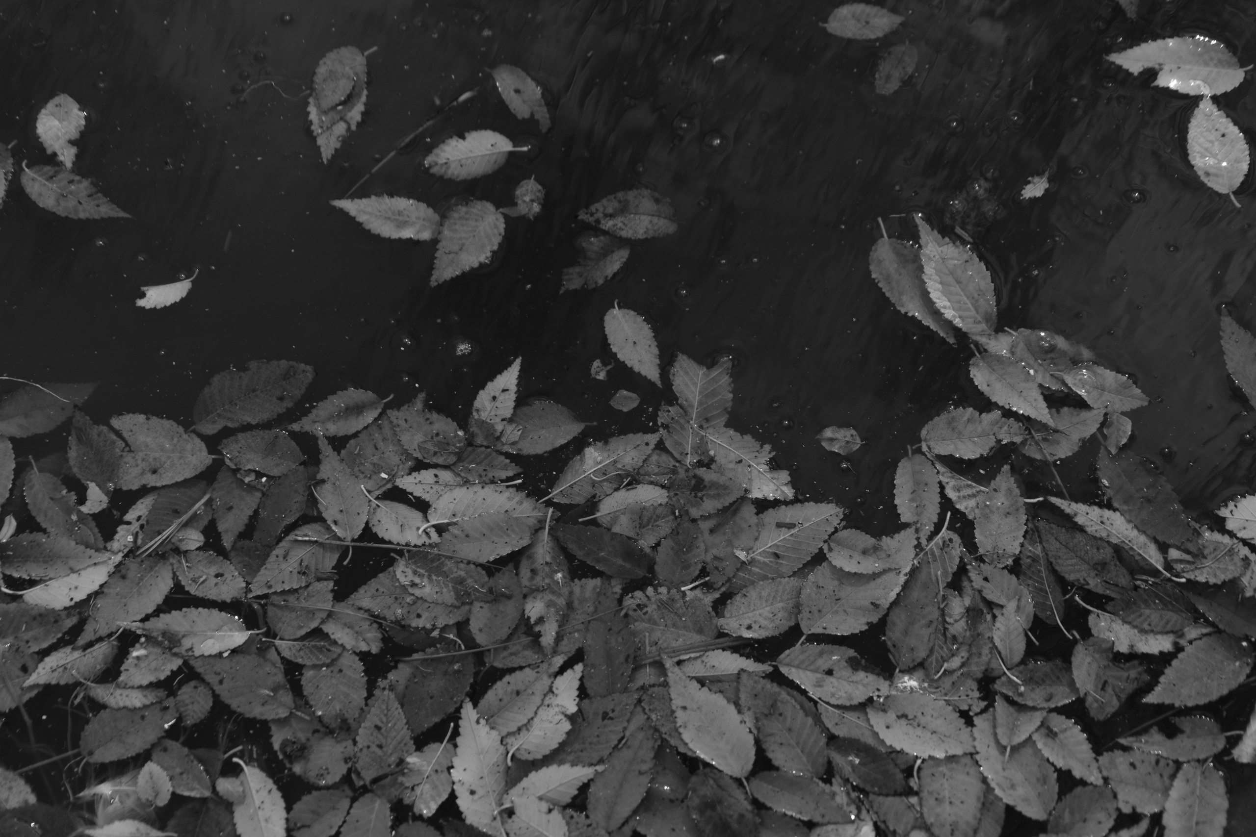 Бекстейдж сьемки кино. Профессиональная съемка в Алматы