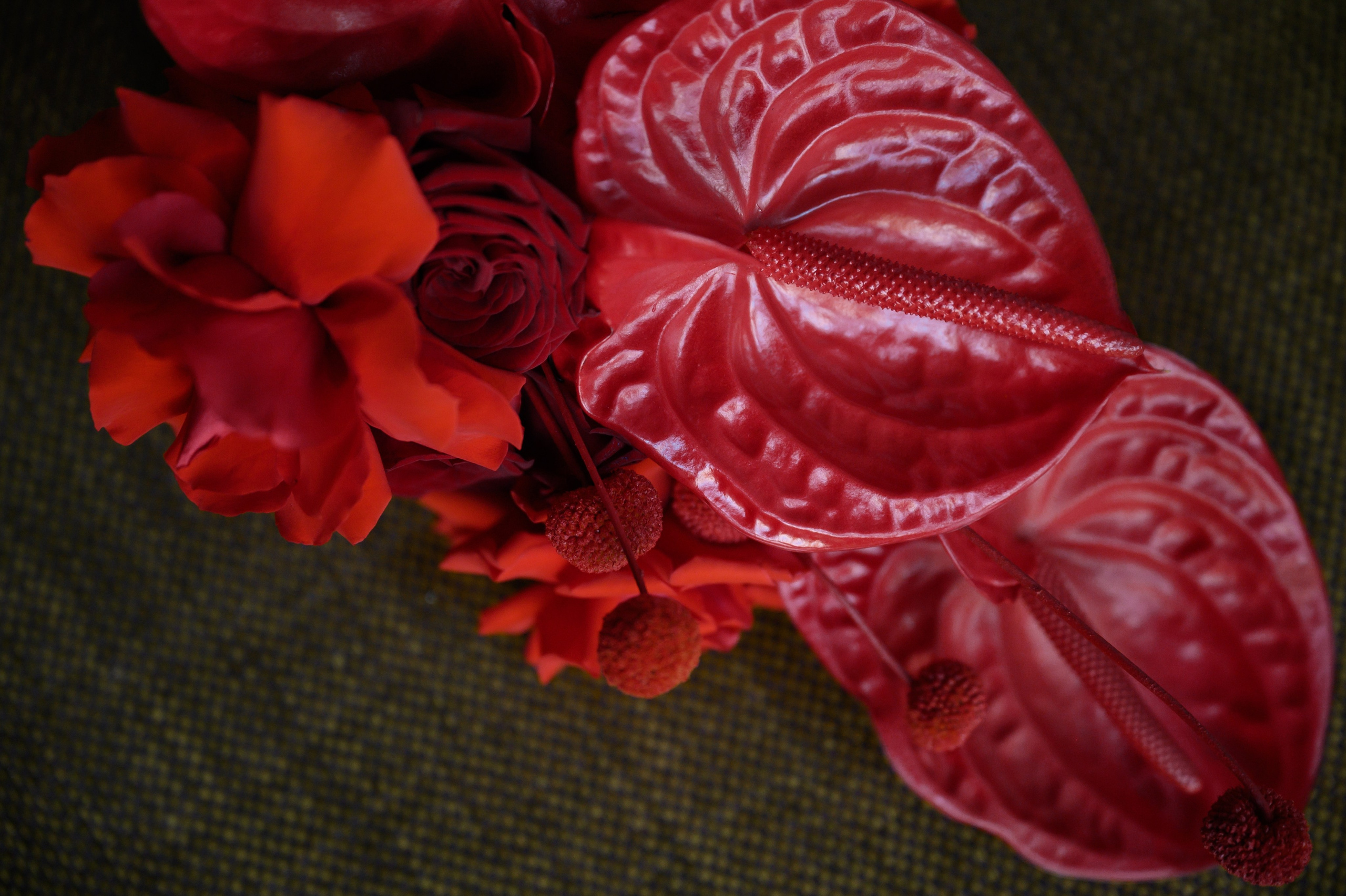 12.11.2024. RETOUCH-HOUSE