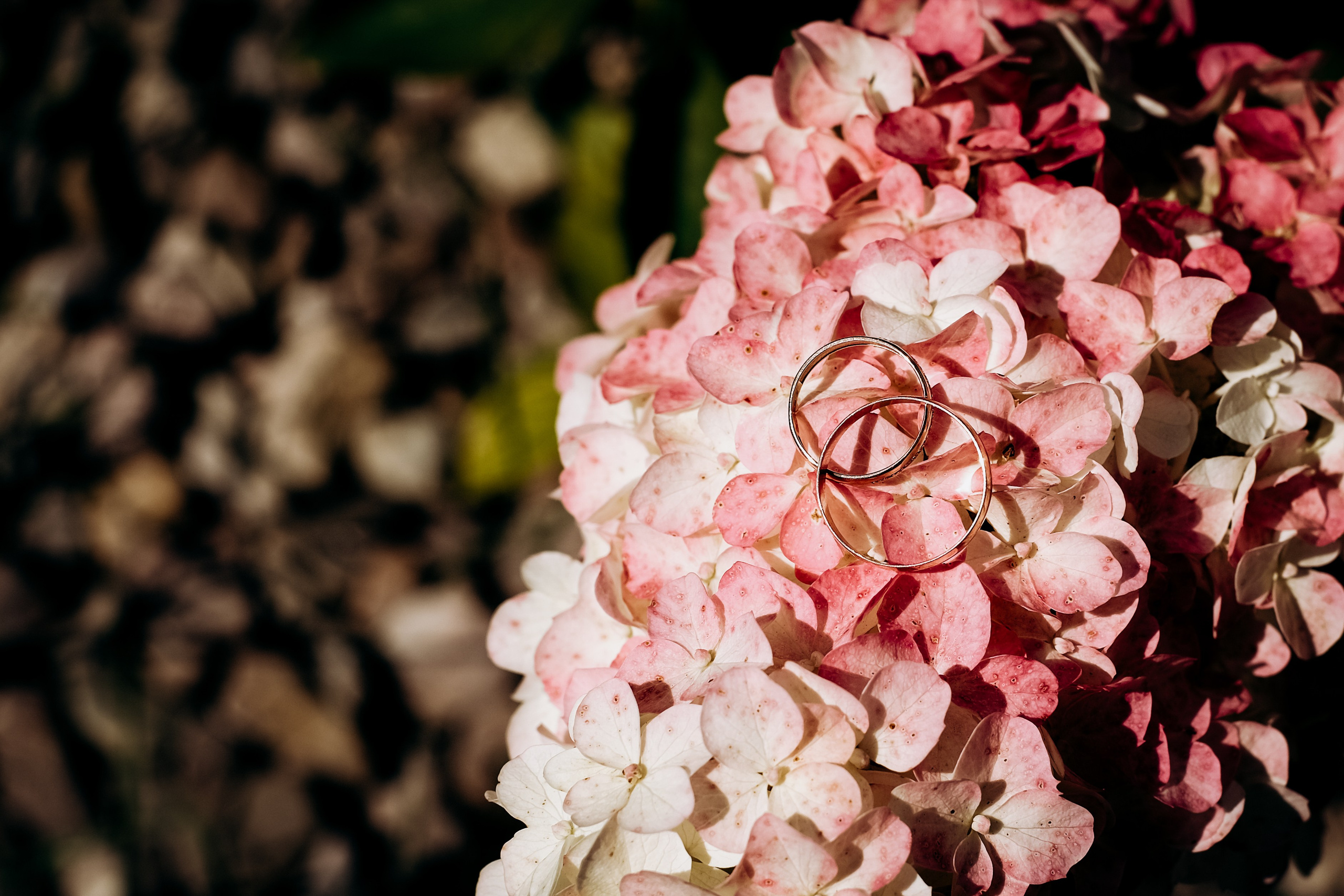 Оксана и Рустам