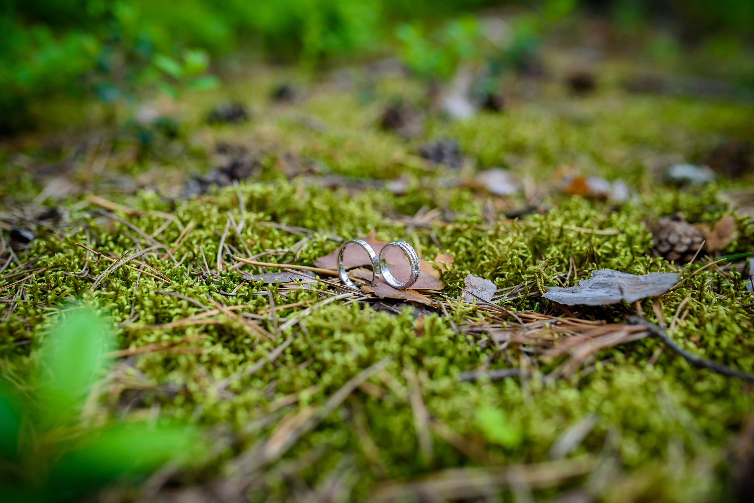 Виталик+Ксюша свадебная фотография. Фотограф спб, Санкт-Петербурге, Питере  Денис Гусев