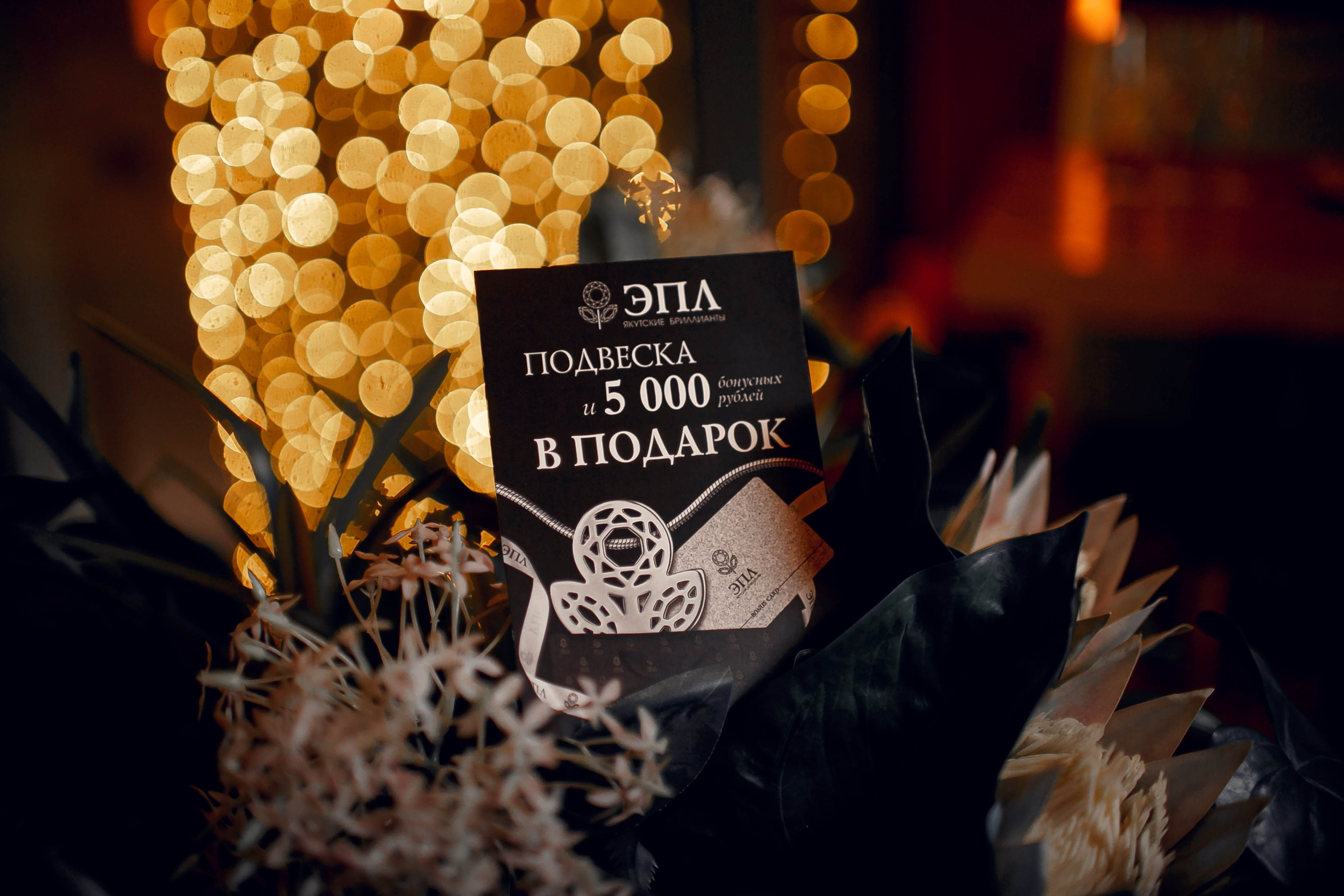 Гастроужин в «Сайёра». Ваш репортажный фотограф Артемий Антонов