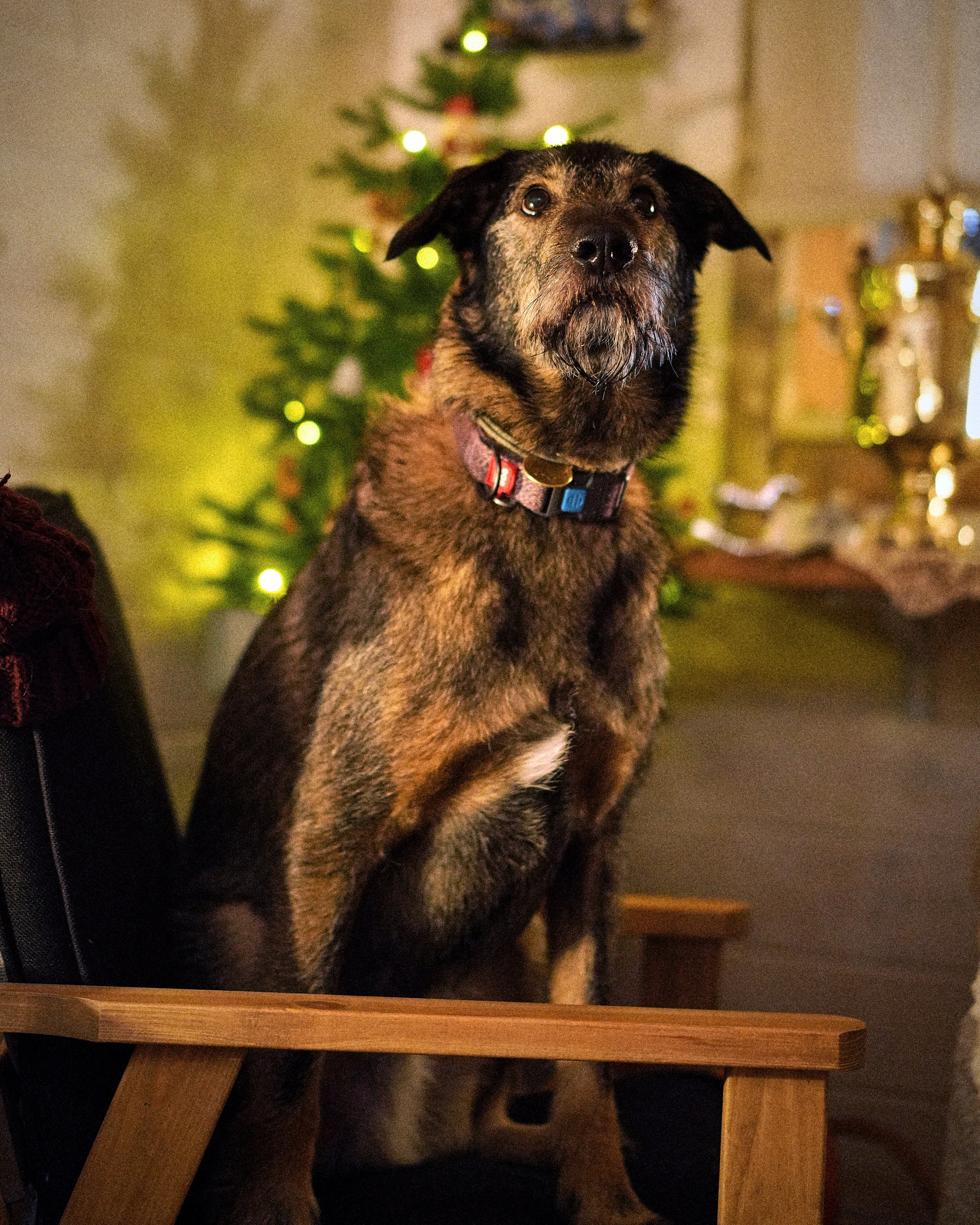 «Нет друзей ближе тебя». Фотограф Казань