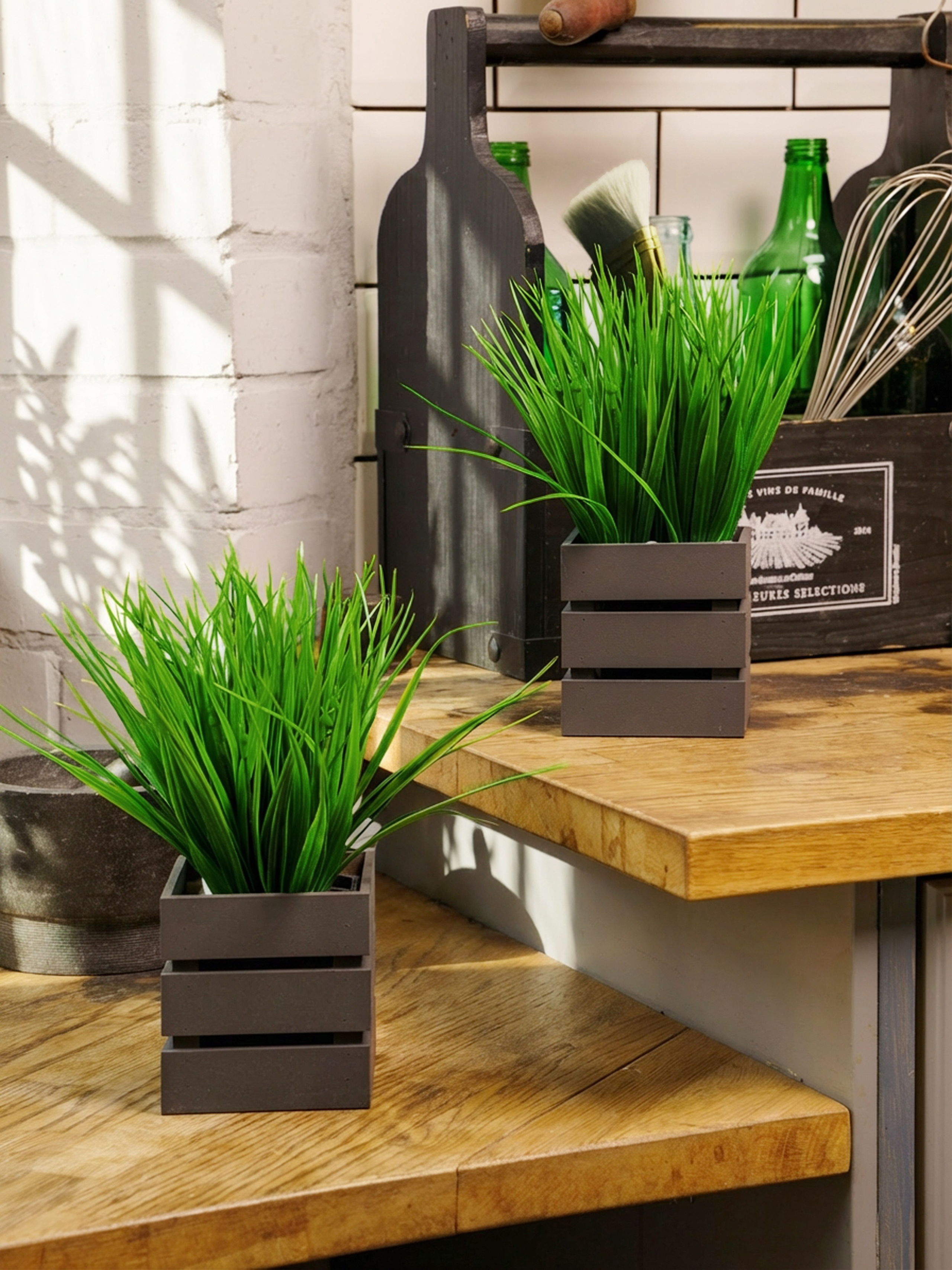 Кашпо. Макаров Сергей|Creamlebot Фотограф города Ростов-на-Дону