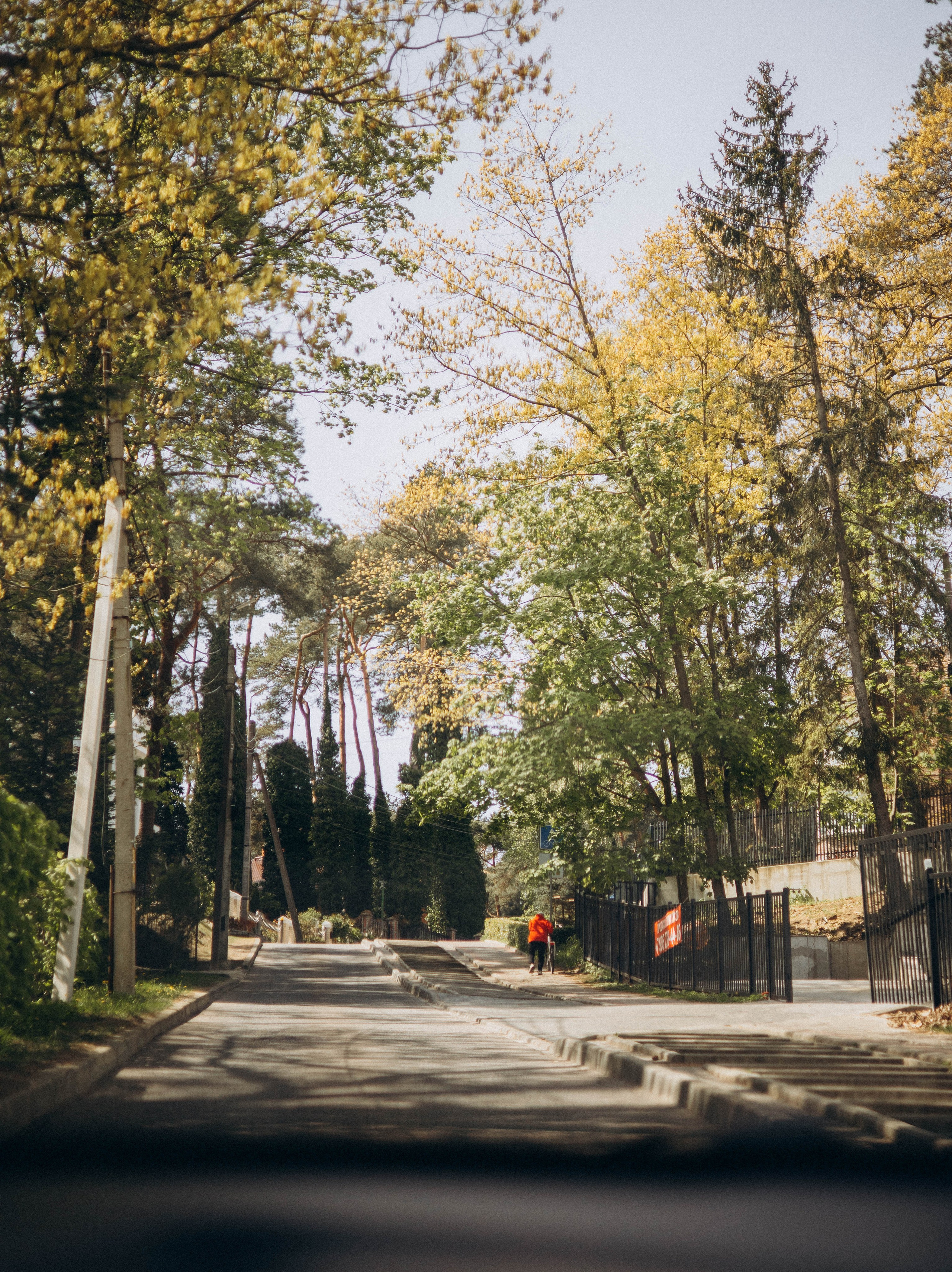 По Калининградской области. Фотограф Кострома | Калининград
