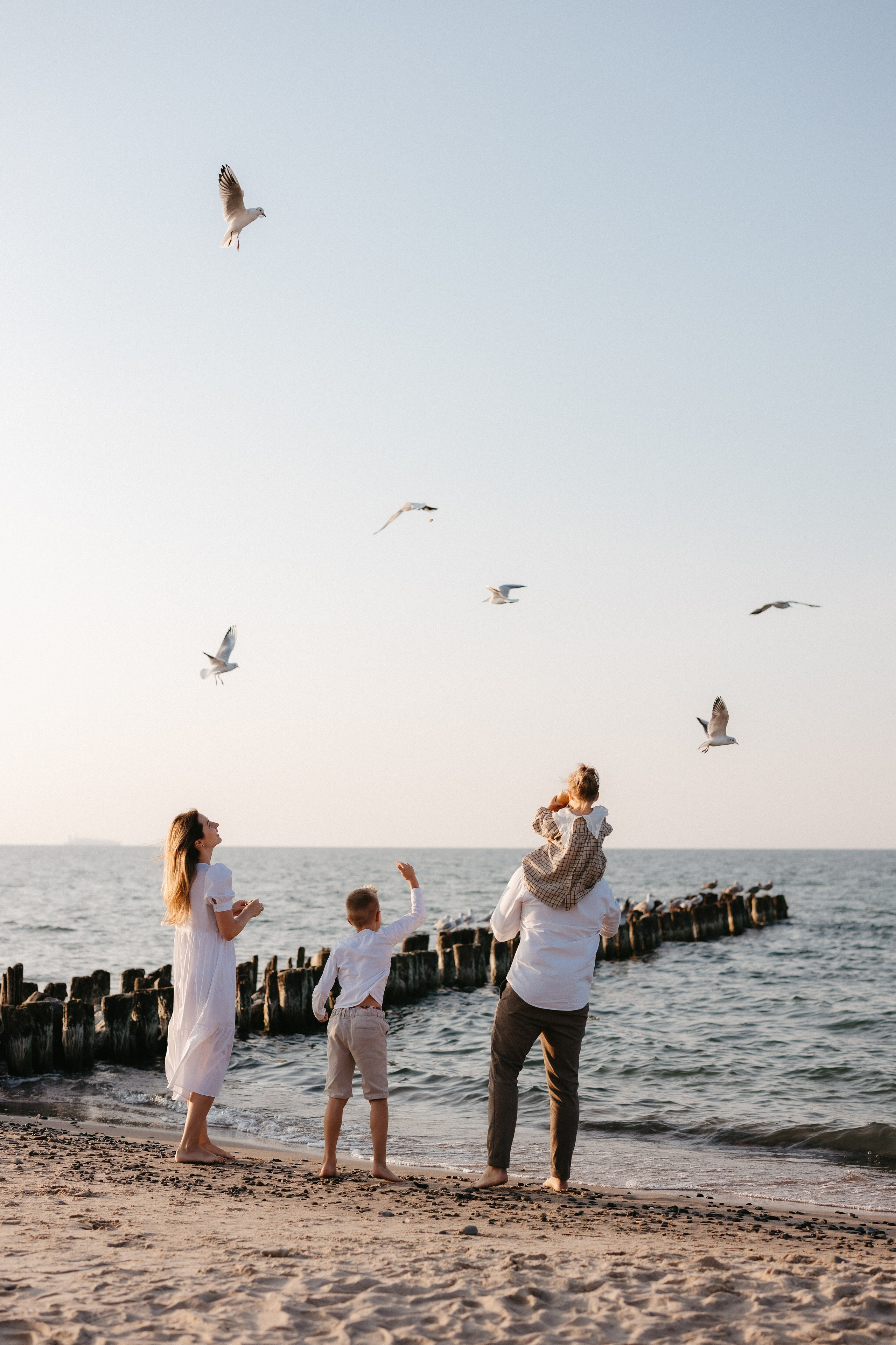 Море.Любовь. Евгения Пелипас