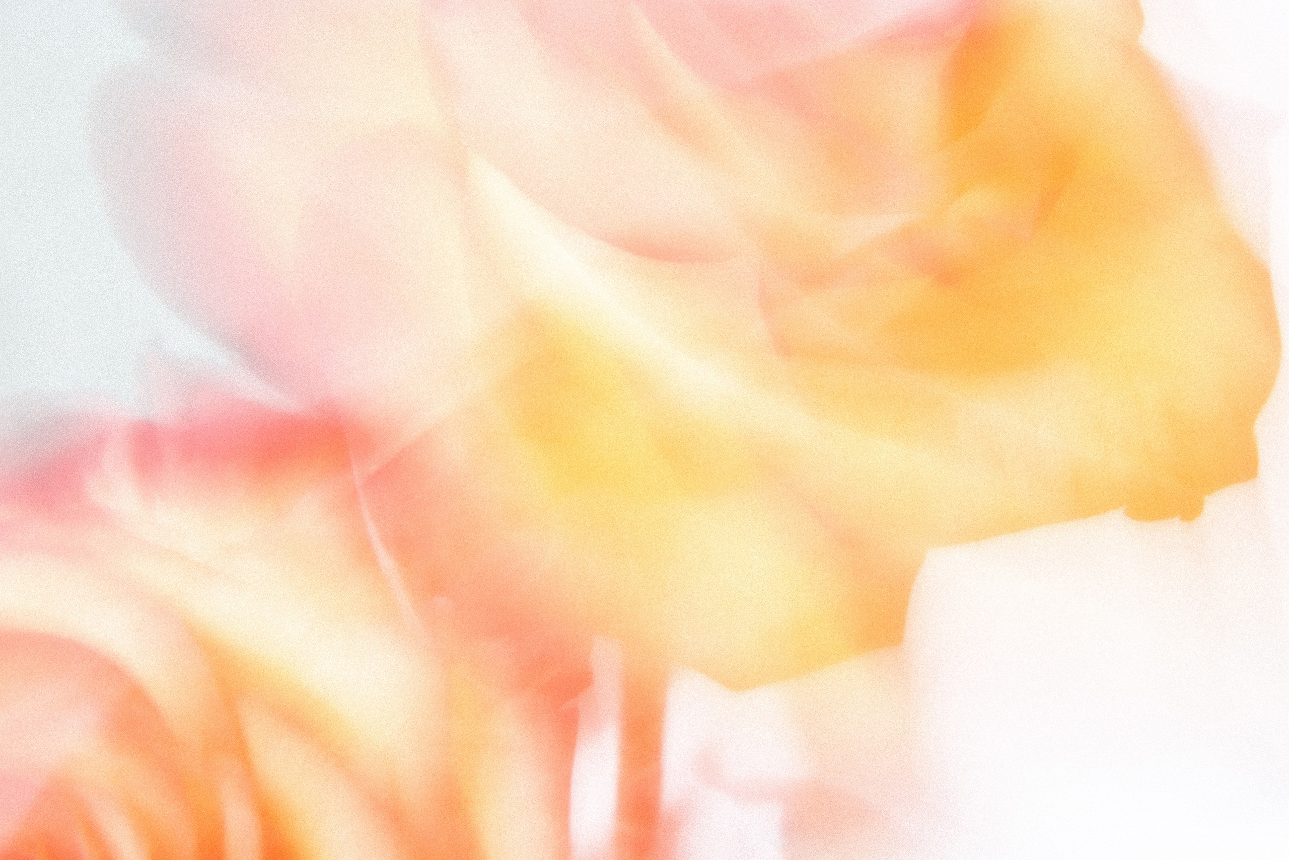 Магазин сердечных посланий Anna Arts