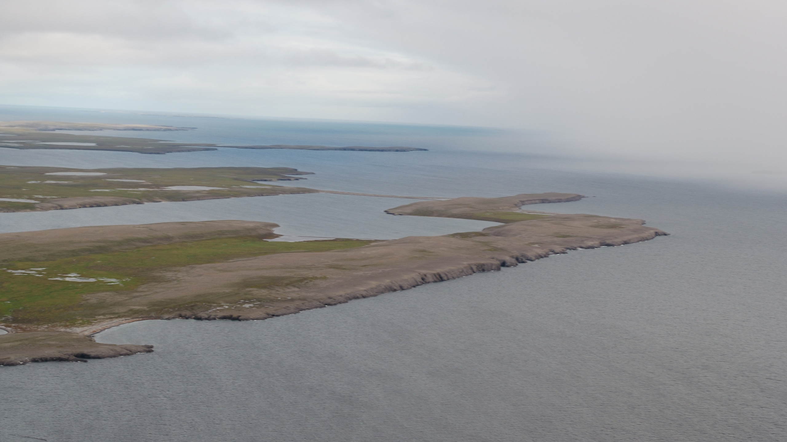 Амдерма — наука (2020 г.). Фотоальбом показывающий увлекательный мир авиации и мир медведей Андрея Иванова