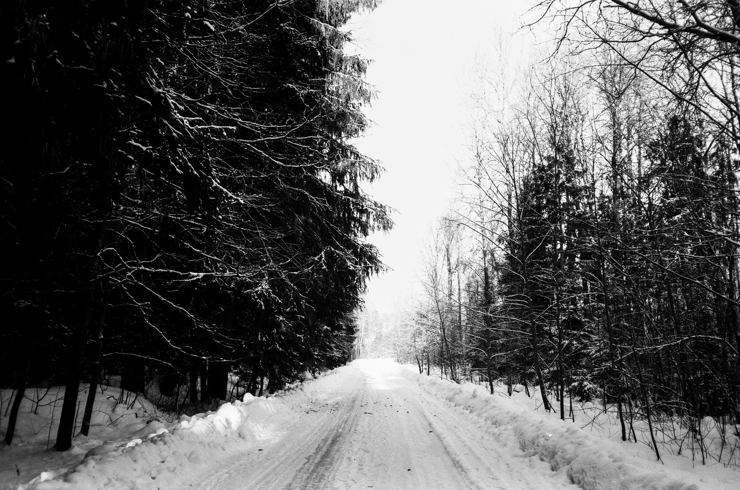 Nikon Action Touch (L35AW) / SFL T-25 / Давыдовское