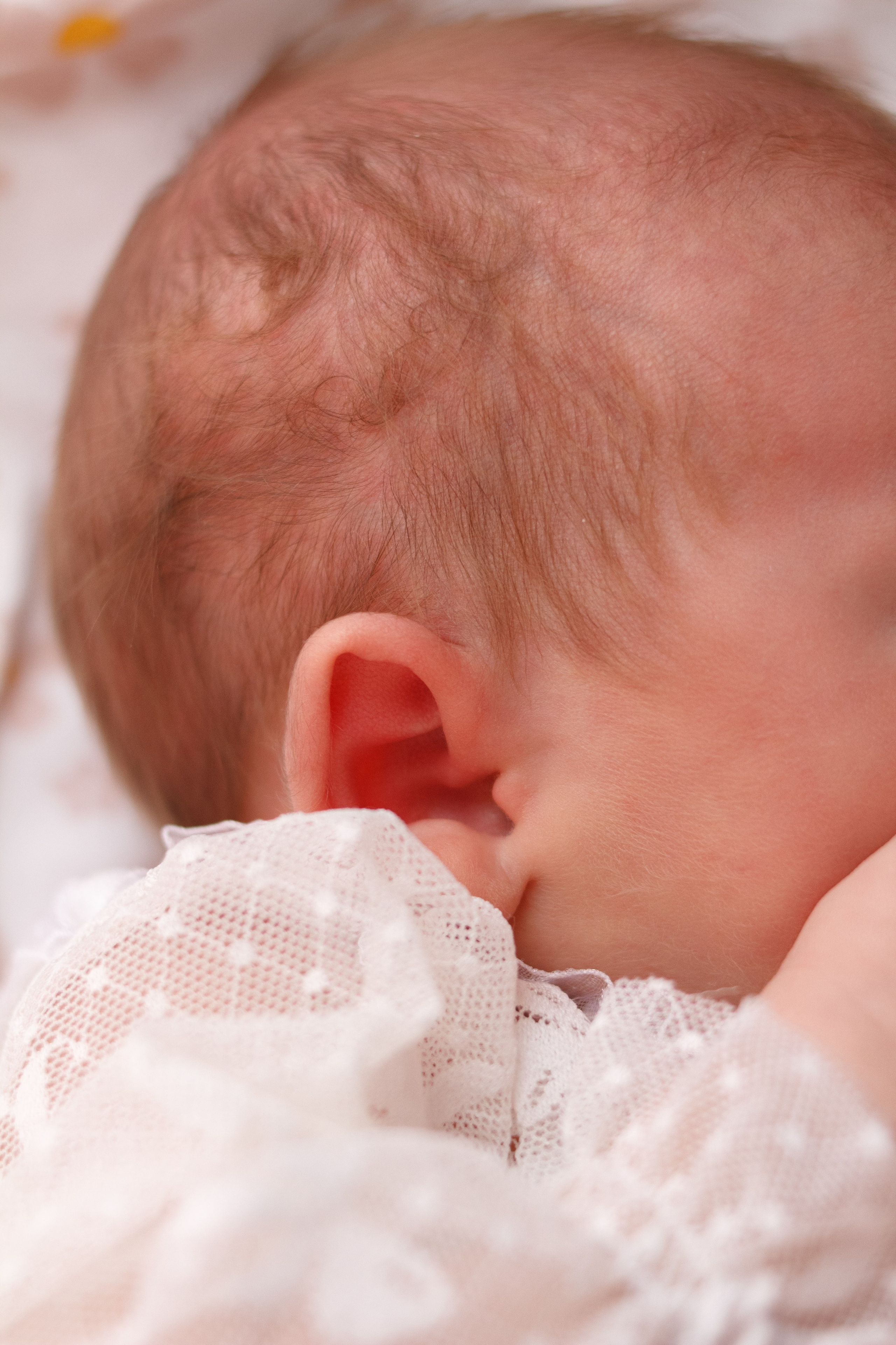 Райа. Первый кадр | newborn фотограф | Всеволожск