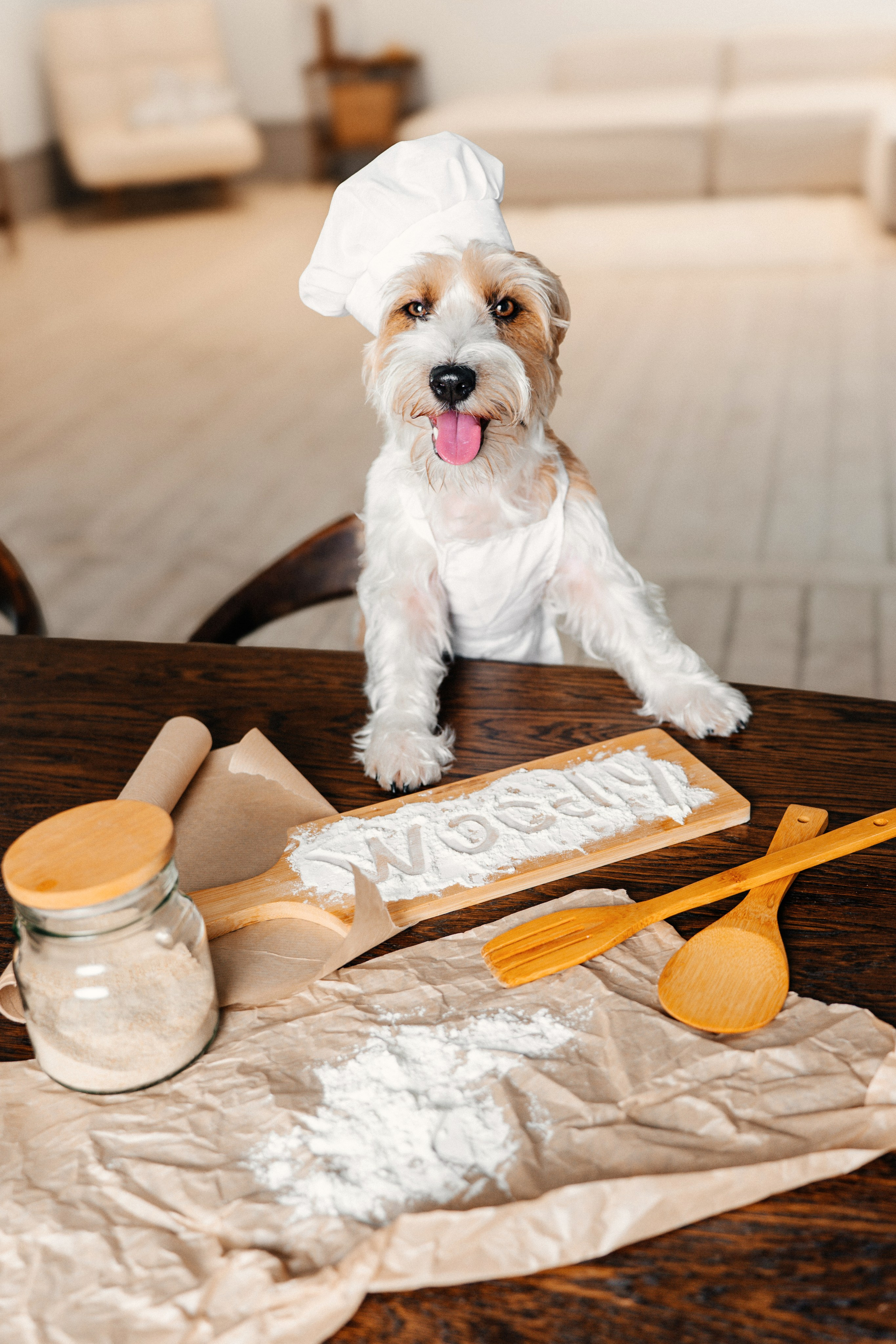 Красота хвостатых глазами хозяйки. Ваш семейный фотограф в Минске — Вика Трегубова