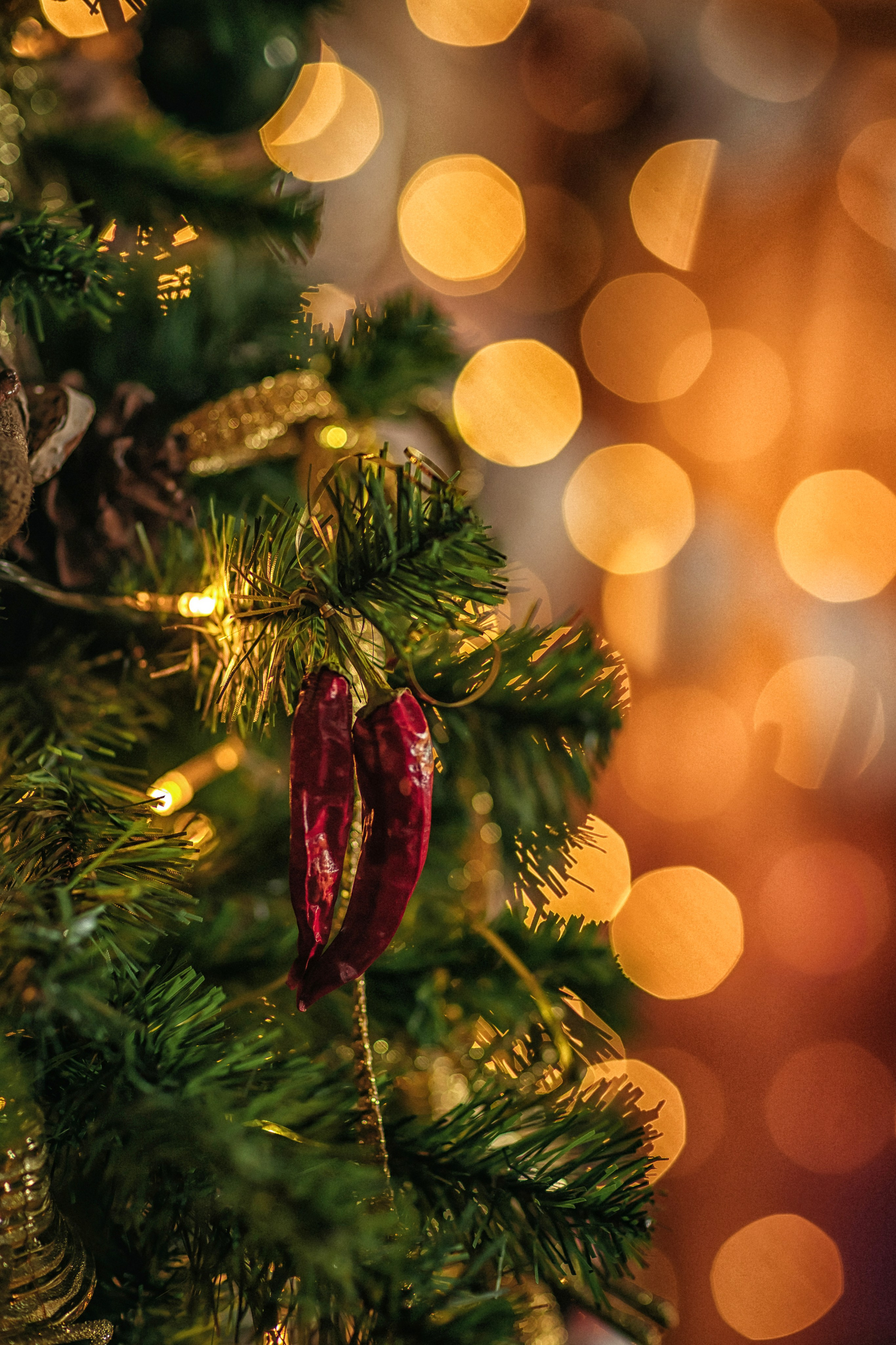 Письмо Деду Морозу. Фотограф в Канске Нина Пуряева