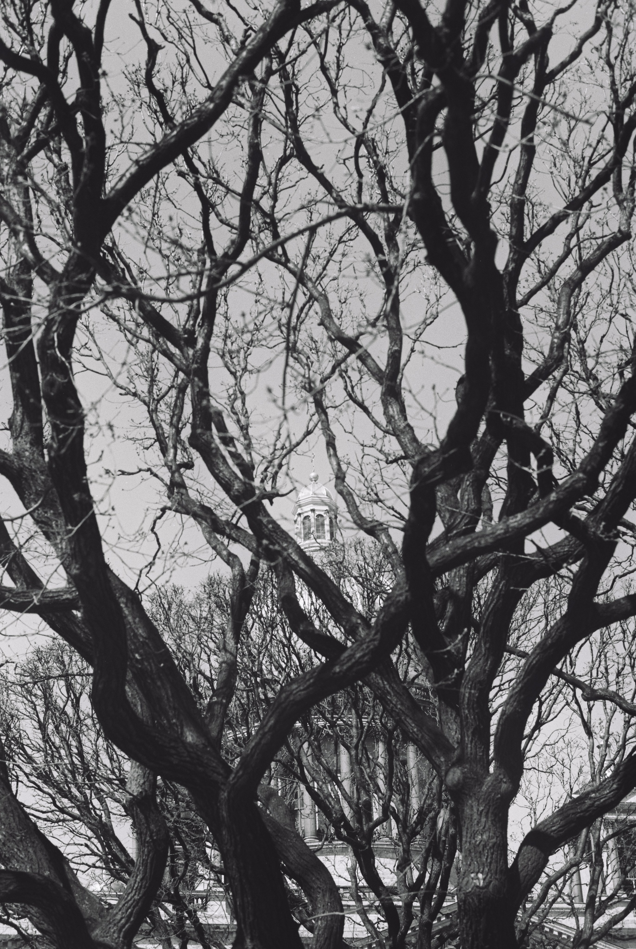 EXHIBITION. Репортажный и интерьерный фотограф, фотохудожник