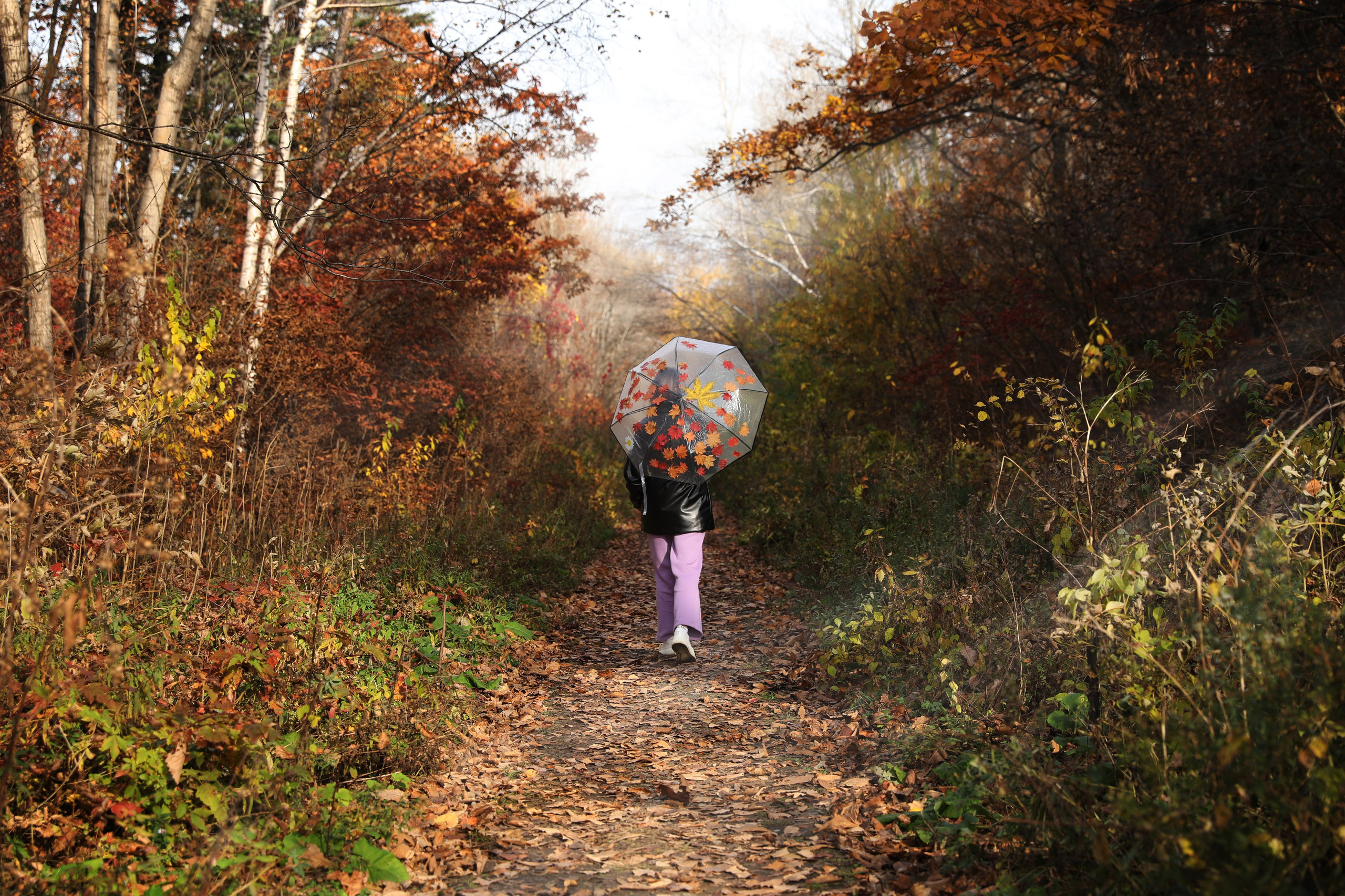 Фотограф Владивосток Николай Тынько