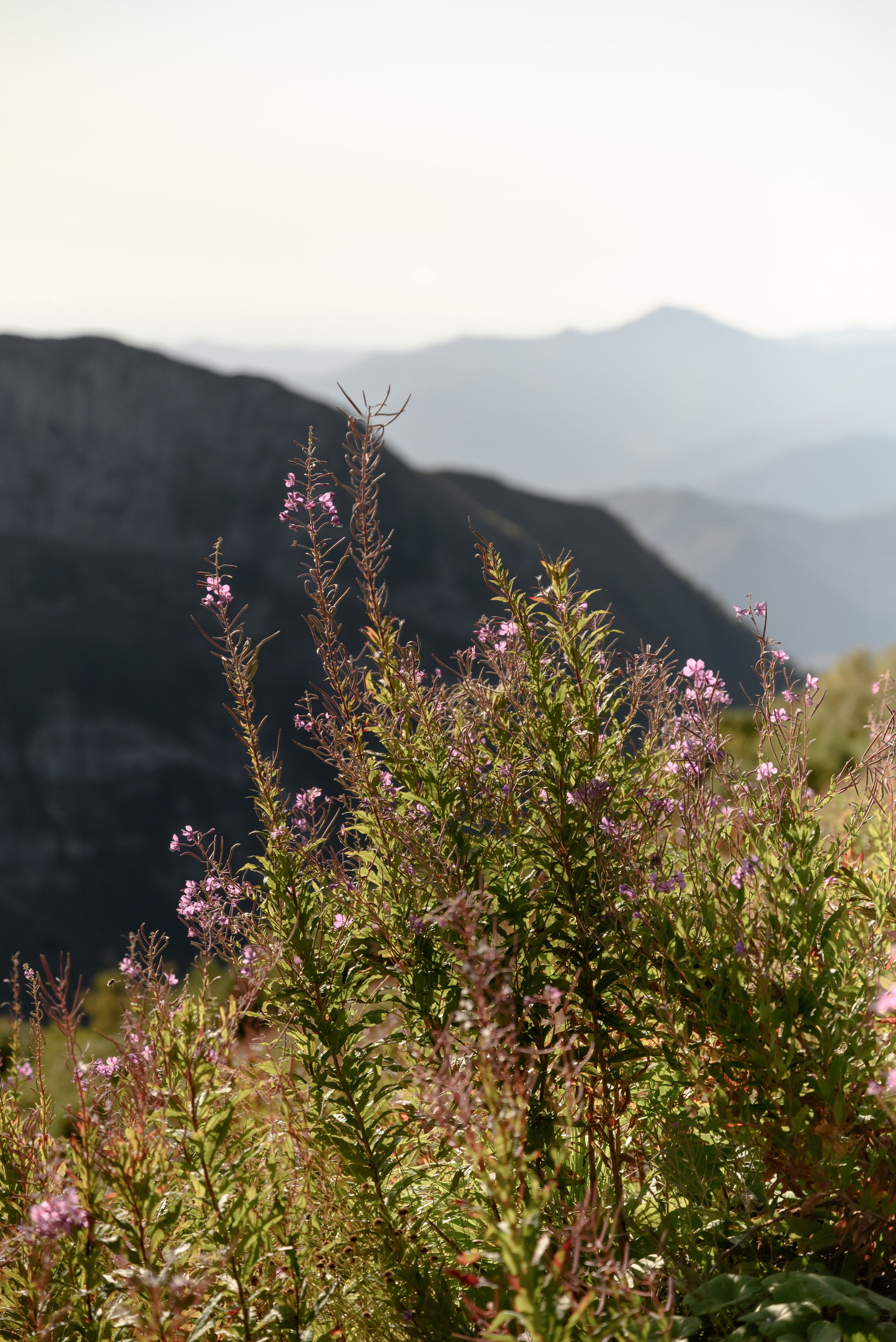 Just the two of us. Backpackweddings фотограф и видеограф Ростов-на-Дону Сочи