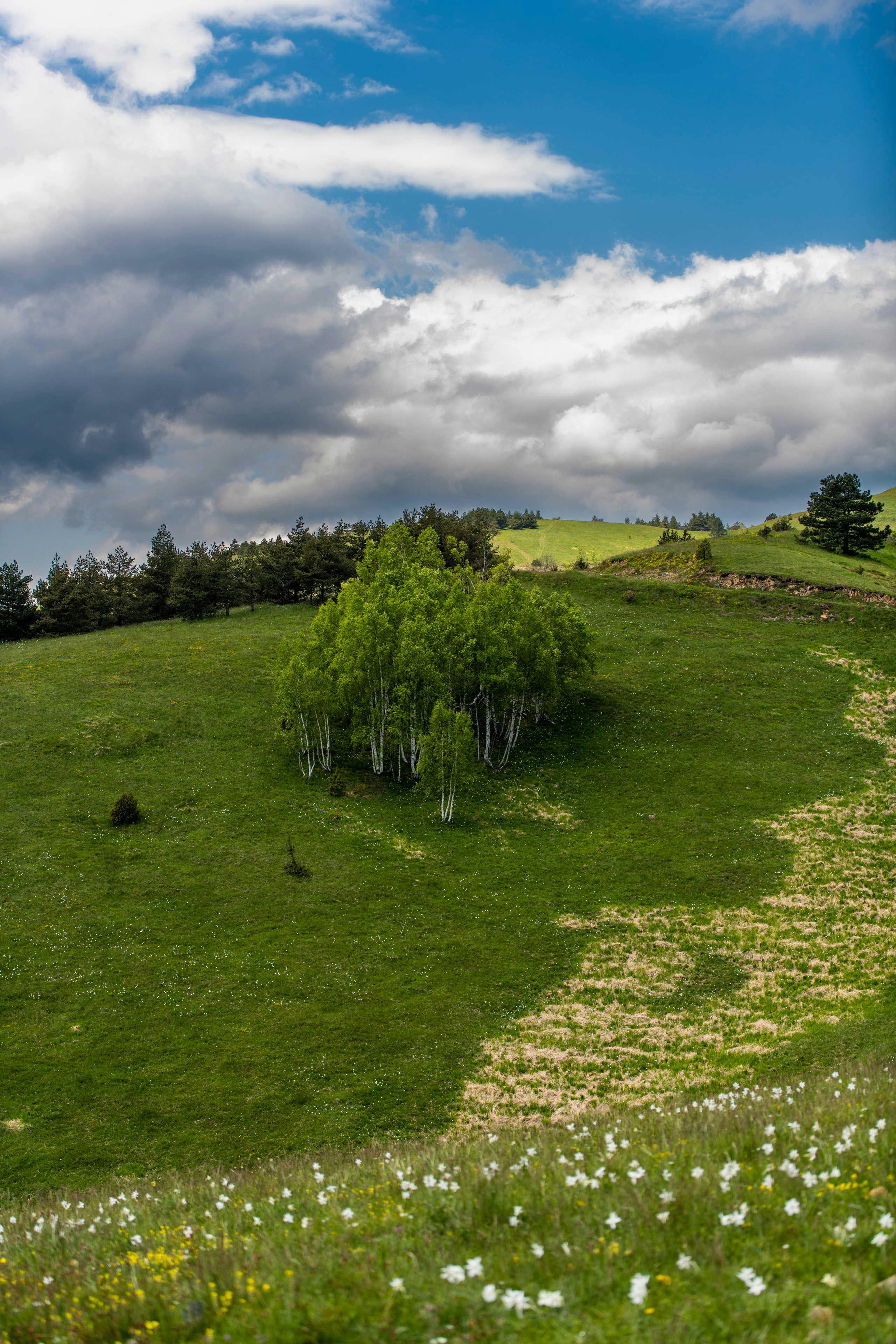 Столови. Сербия. Фотограф в Москве. Шахабудин
