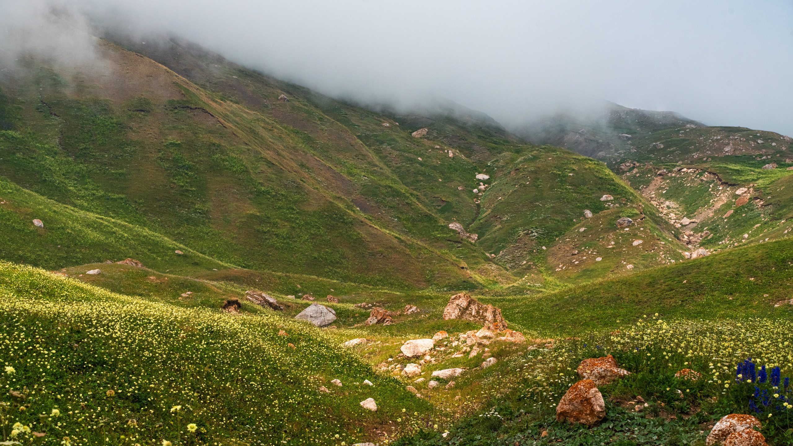 Дагестан. Фотограф в Москве. Шахабудин