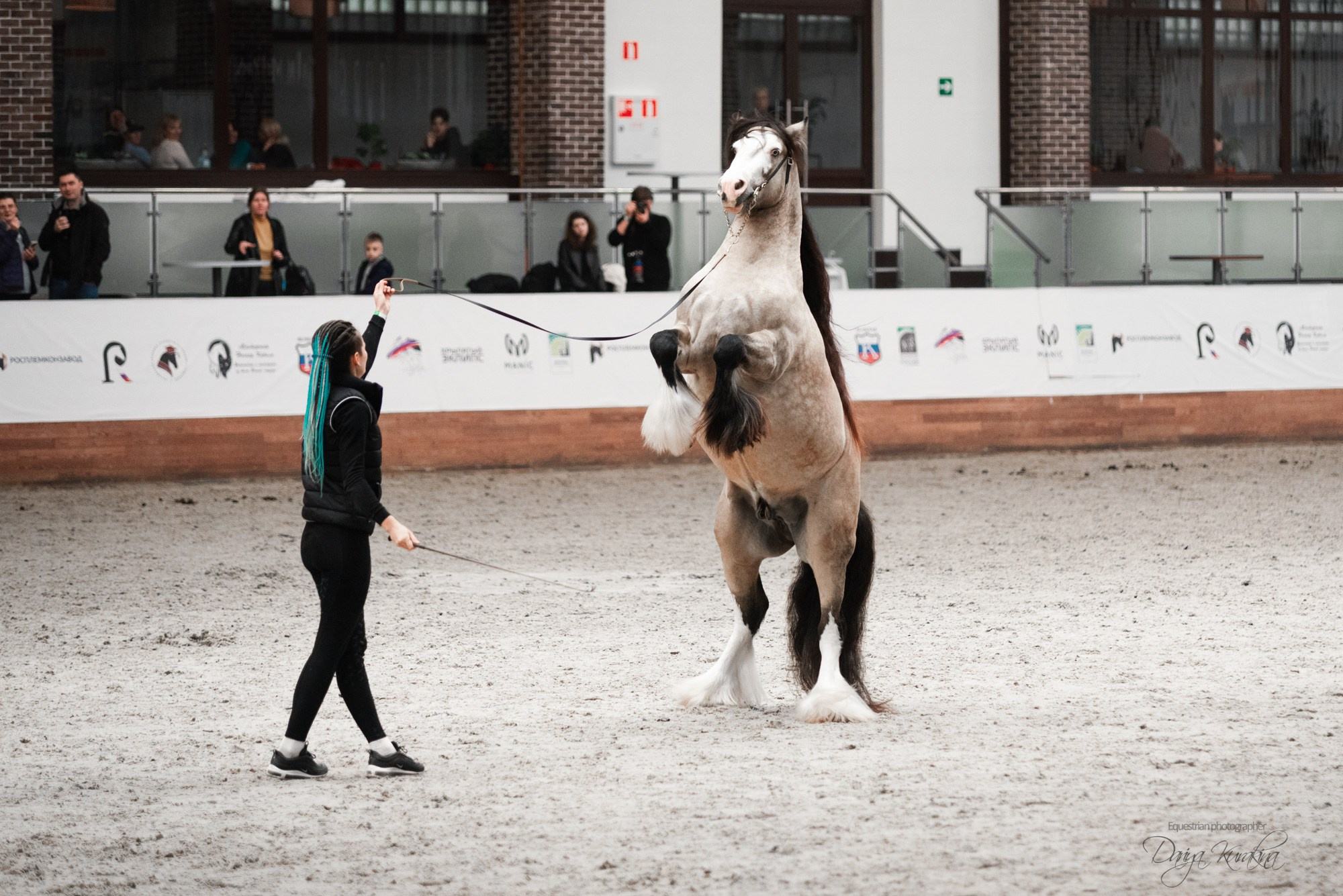 8-я международная выставка Конная Россия. Конный фотограф Куракина Дарья • Фотосессии с лошадьми