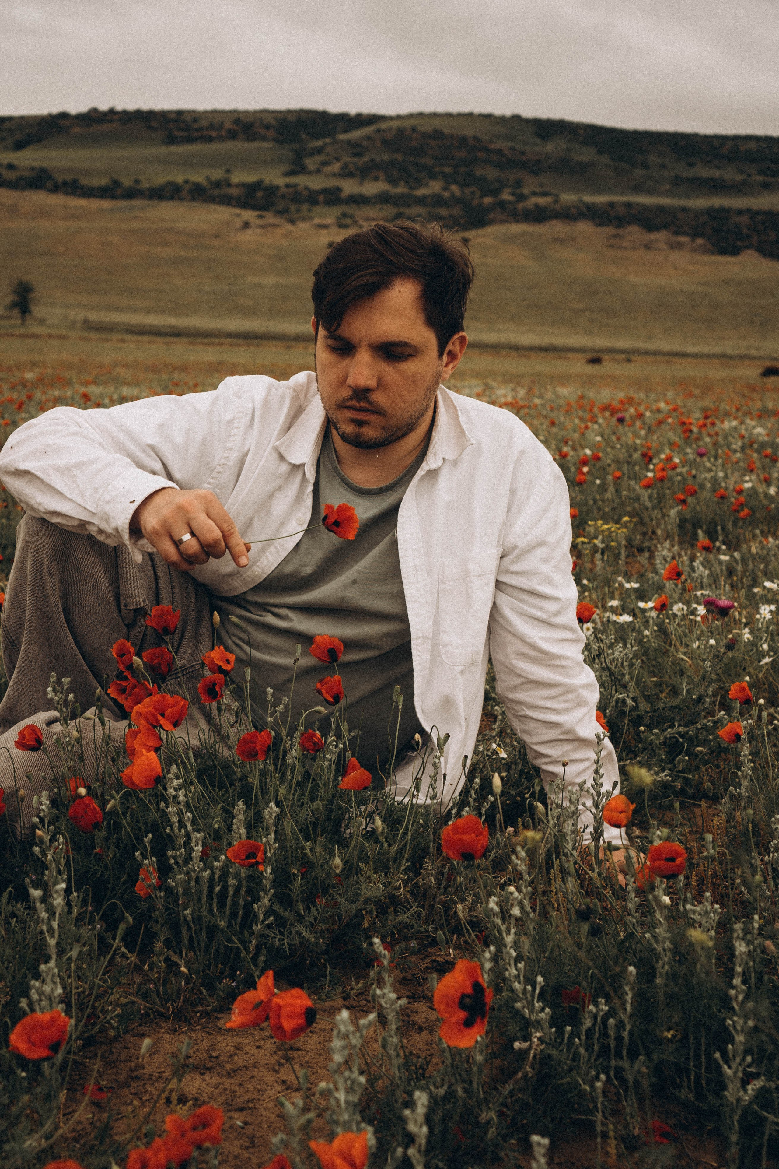 Маки. Профессиональный фотограф, Санкт-Петербург — Виктория Богомолова