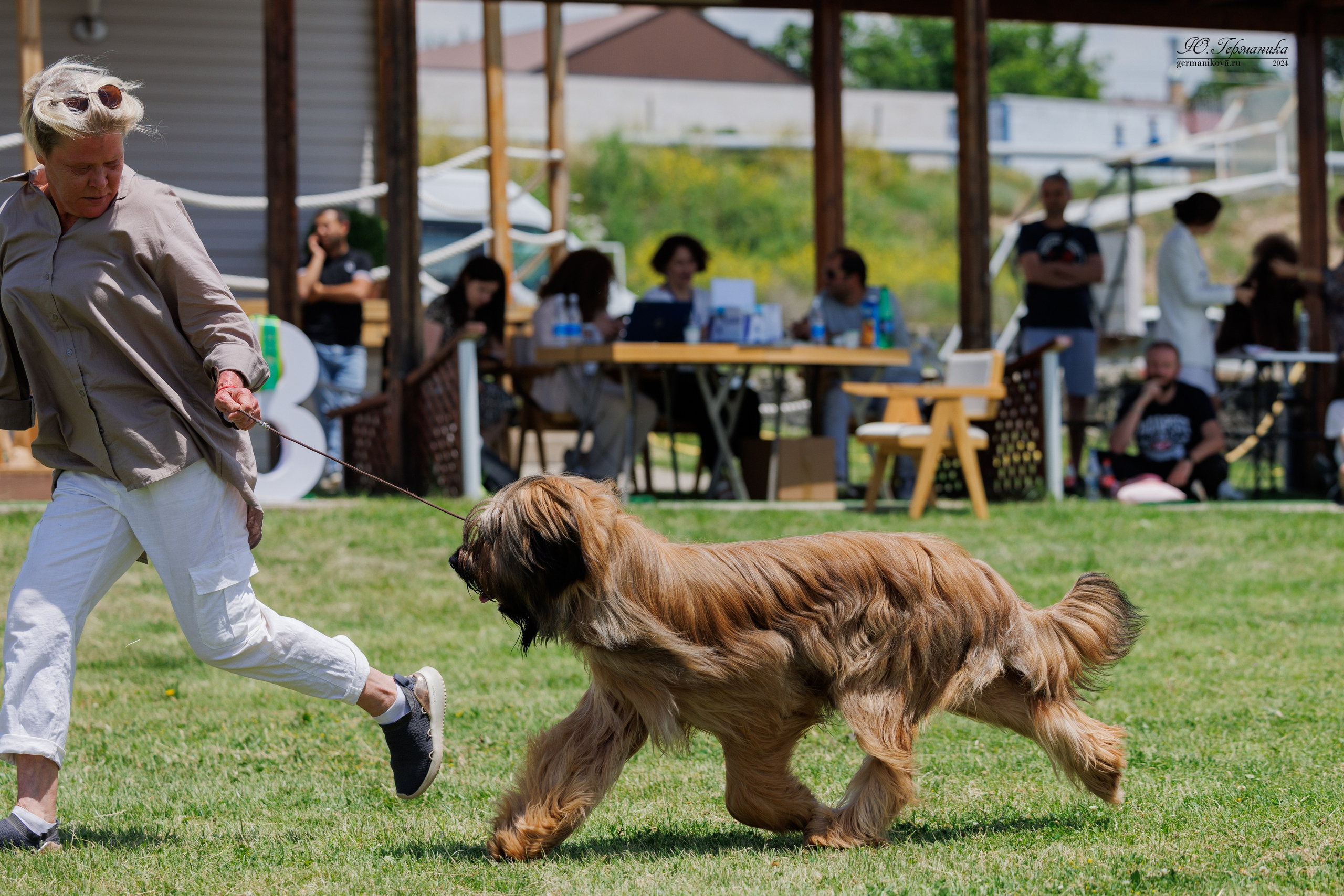 Ереван 3-5.06.2024. Фотограф-анималист Юлия Германика