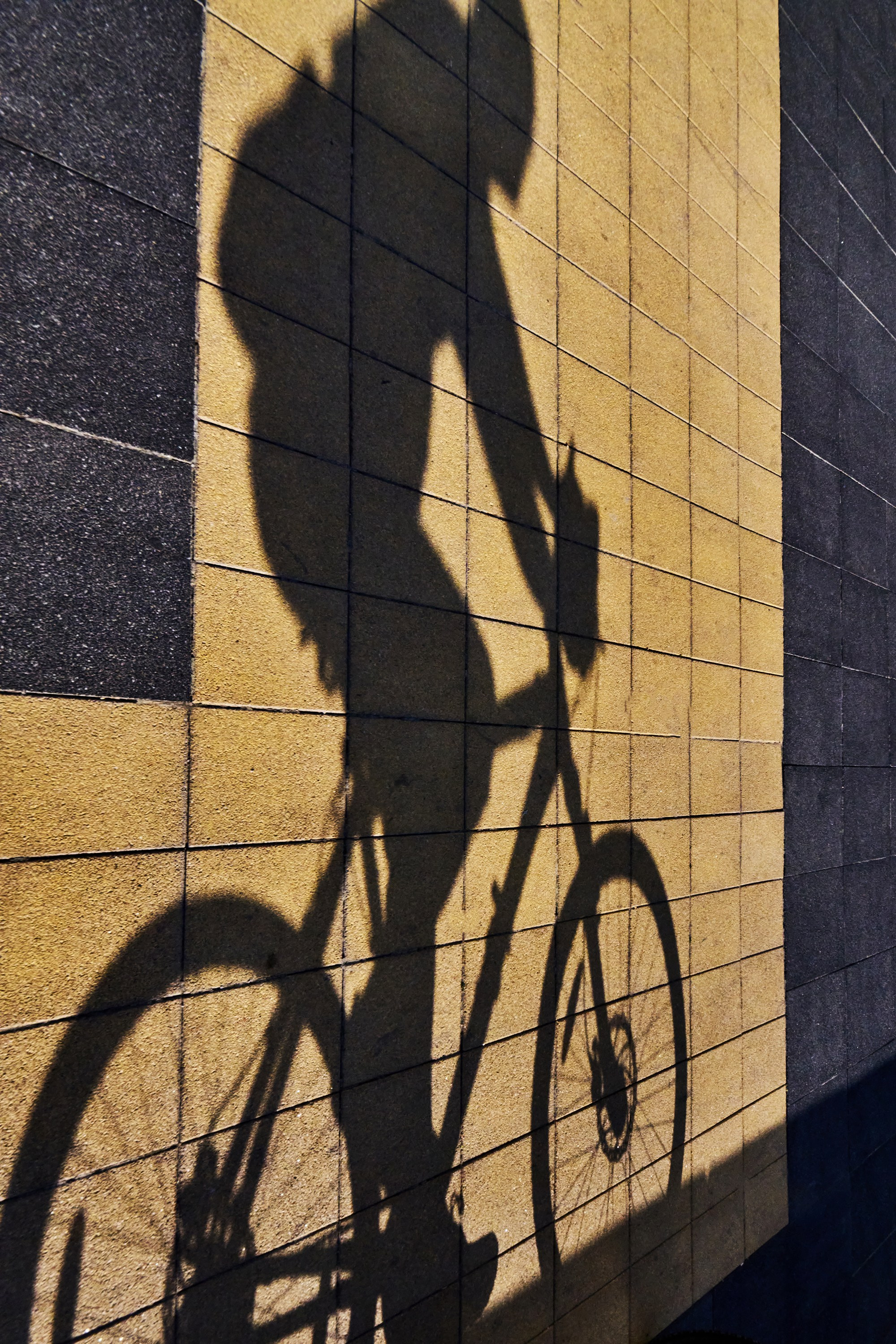 Жизнь, люди, стрит, вокруг, животные, на улице. Яркие фото на Чёрном море