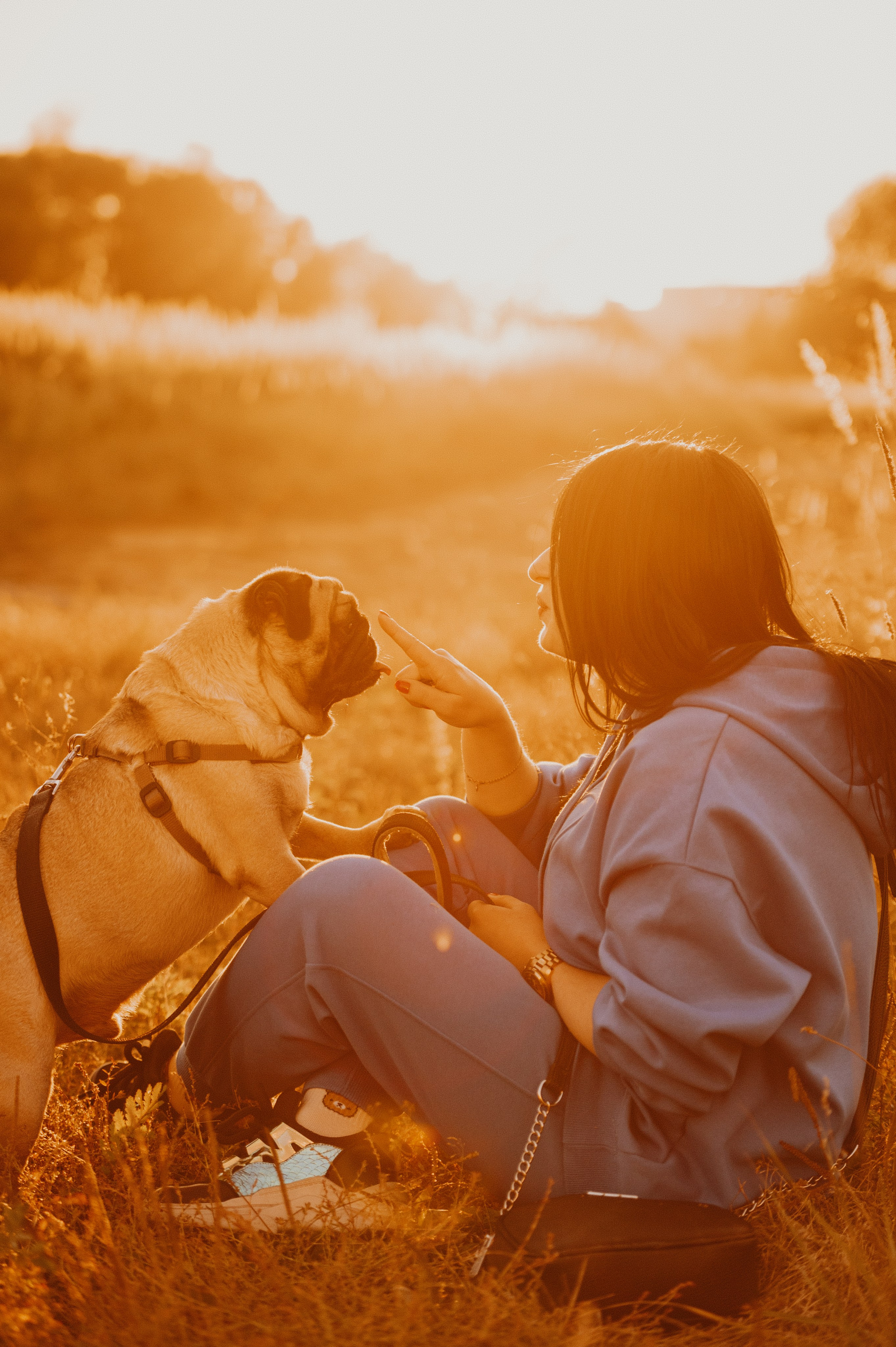 Таня и мопс Патрик (Мытищи, 2024). Анна Пушина, фотограф, Москва, Королев, Пушкино